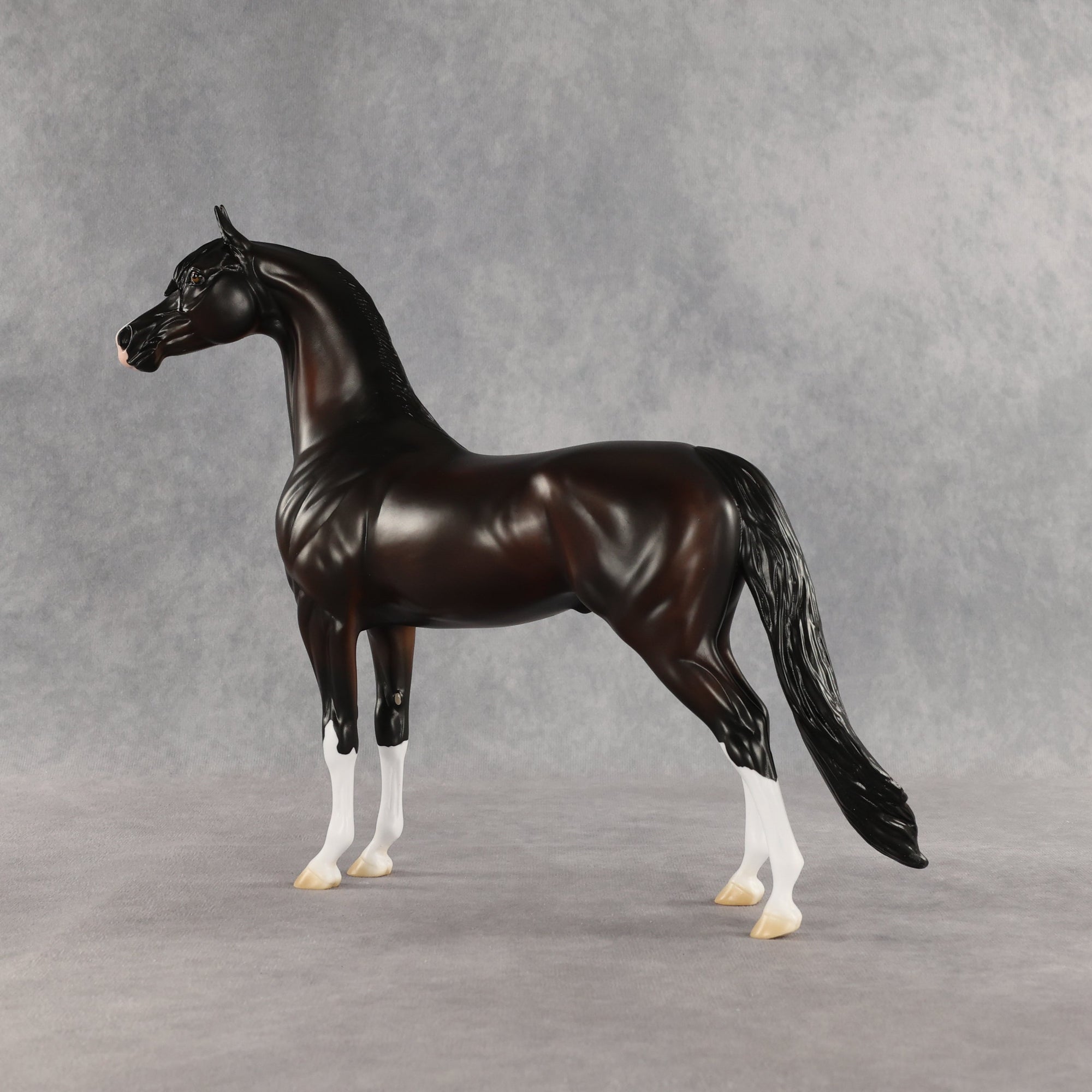 SAMPLE Khornelius LE-10 FCM Arabian Stallion by Anna Rieck &amp; Matt Samuels SS0826