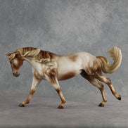 Khürel LE-15 EFCM Remington by Ashley Palmer EL26