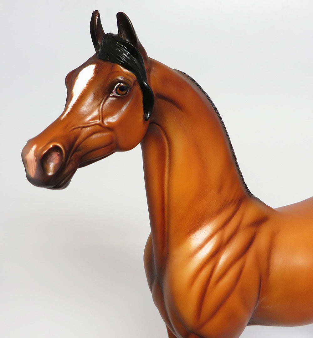 KITT~OOAK BAY ARABIAN MODEL HORSE BY NICOLE MOSS 9/25/17