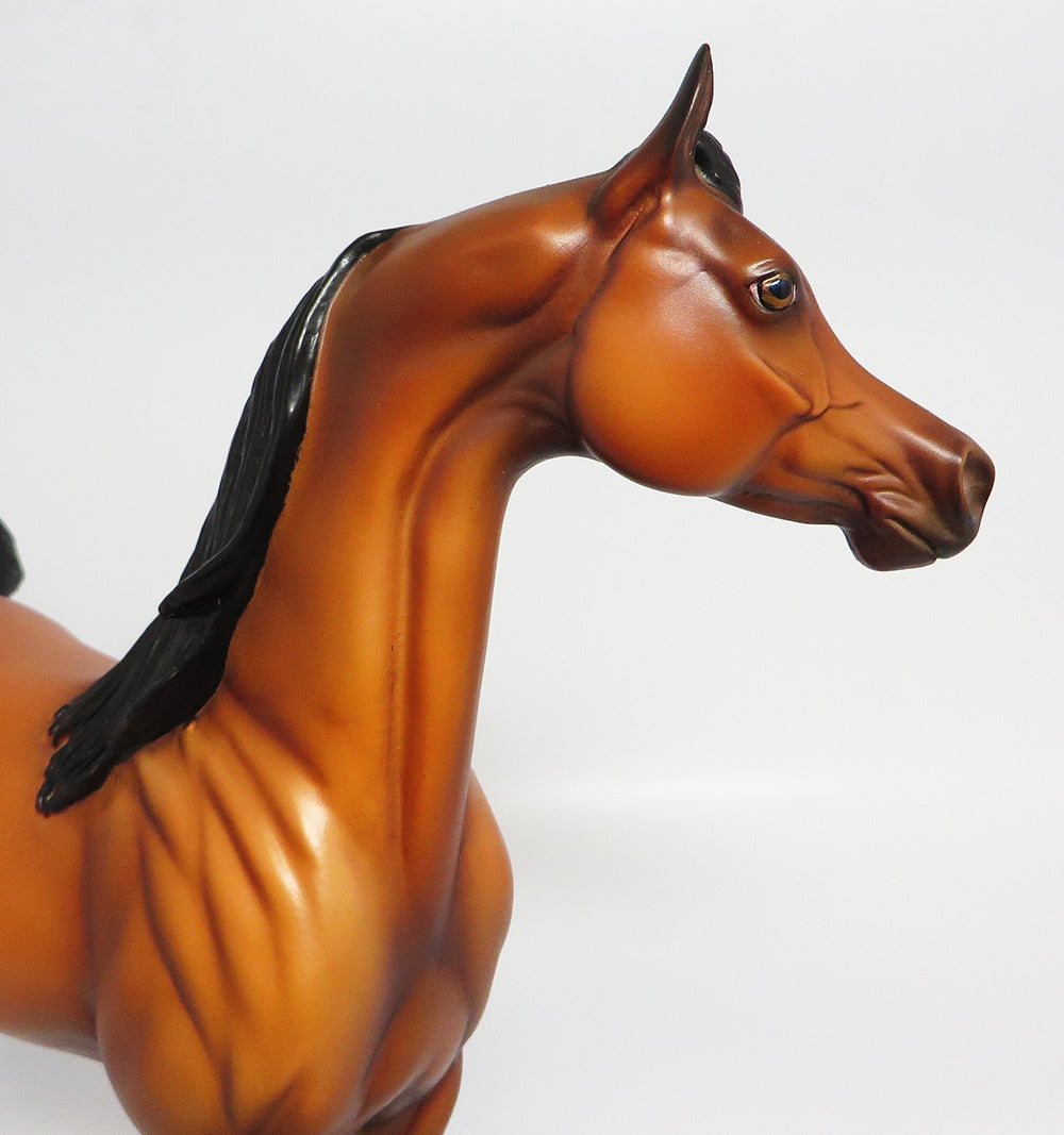 KITT~OOAK BAY ARABIAN MODEL HORSE BY NICOLE MOSS 9/25/17
