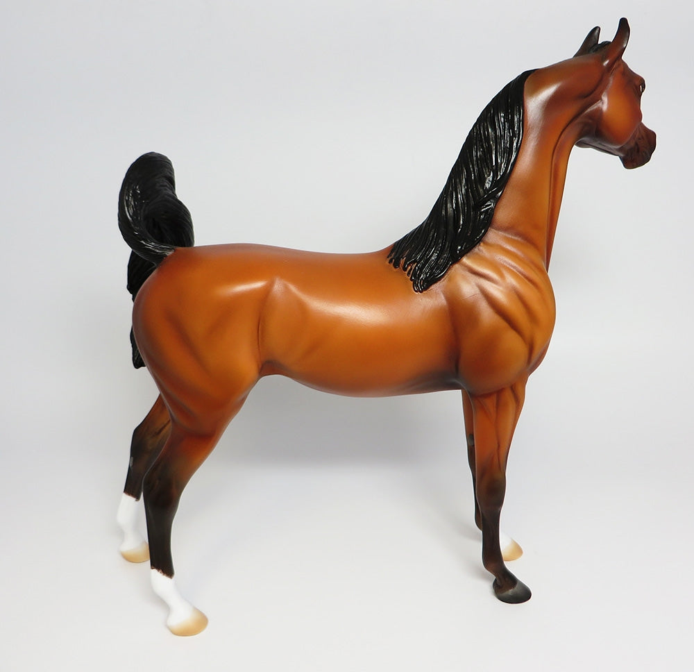KITT~OOAK BAY ARABIAN MODEL HORSE BY NICOLE MOSS 9/25/17