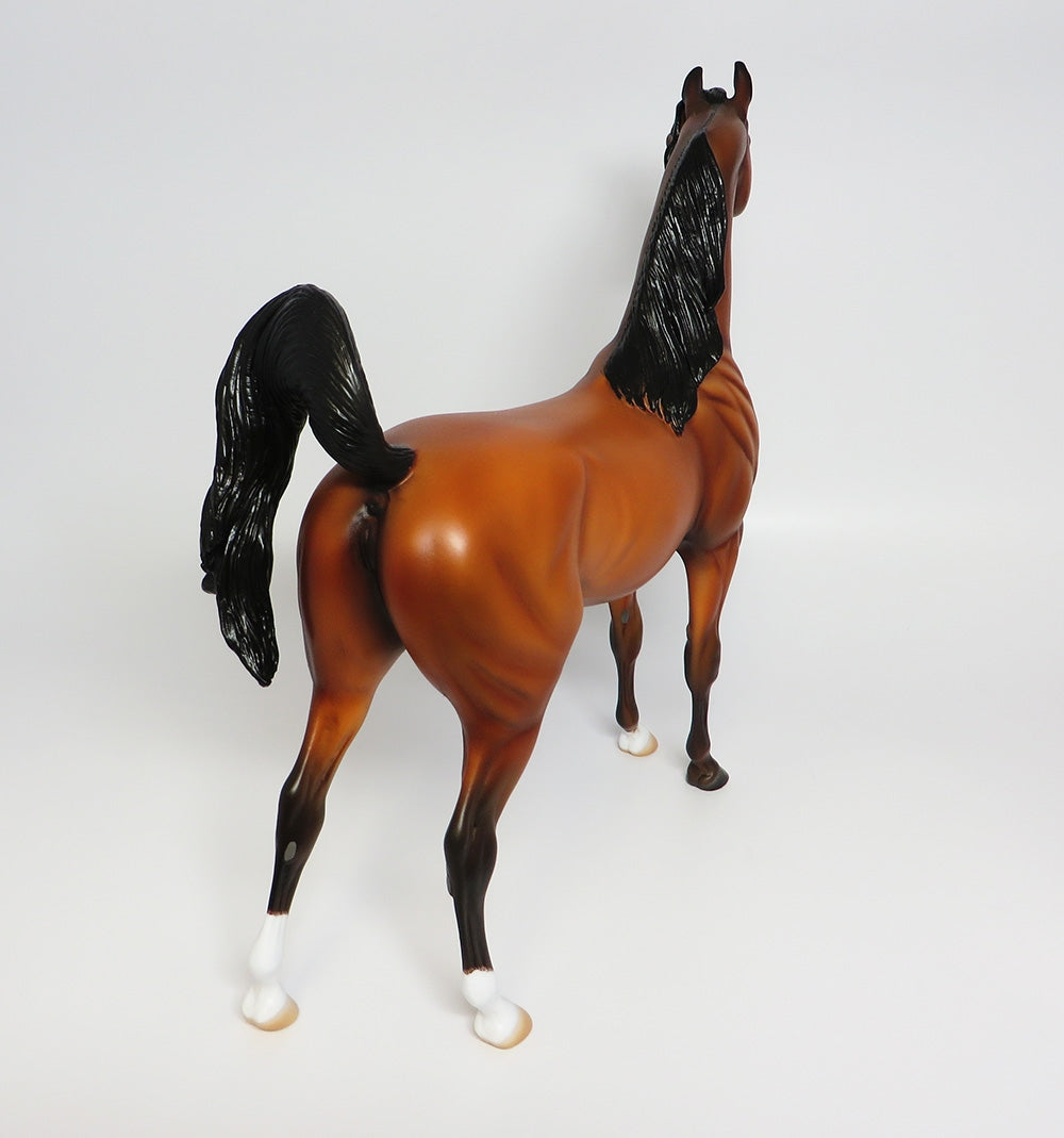 KITT~OOAK BAY ARABIAN MODEL HORSE BY NICOLE MOSS 9/25/17