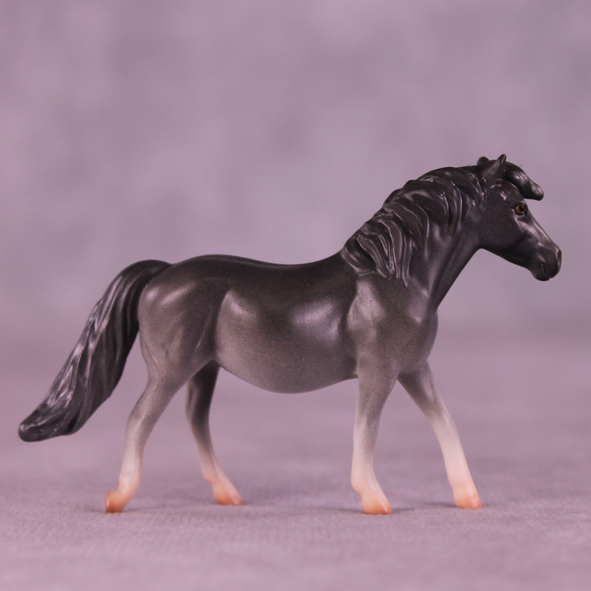 Kimchi OOAK Chip Pony by Jess Hamill MS25