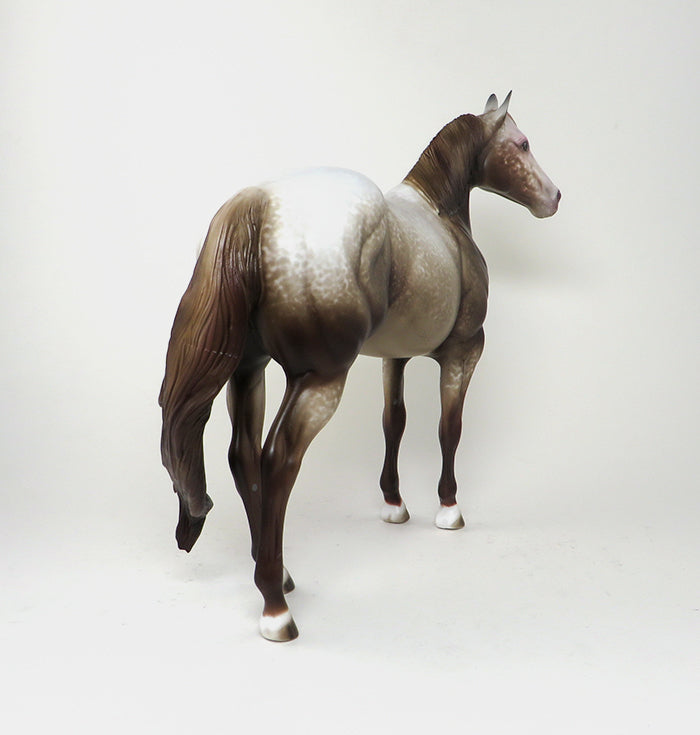 LACEY ROAN APPALOOSA