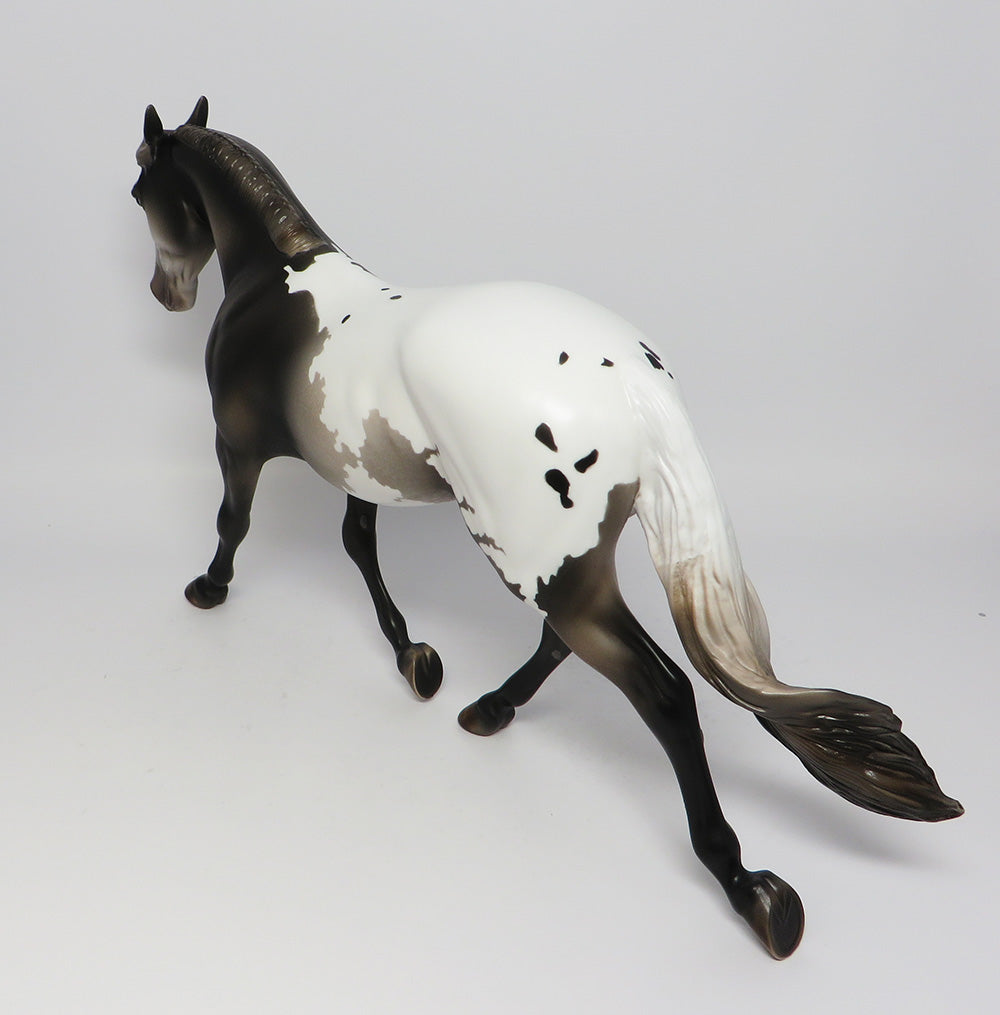 KING PIN~LE-3 BLACK GOING GREY APPALOOSA PALOUSE WITH PINNED EAR AND CUSTOM TAIL EQ 2017