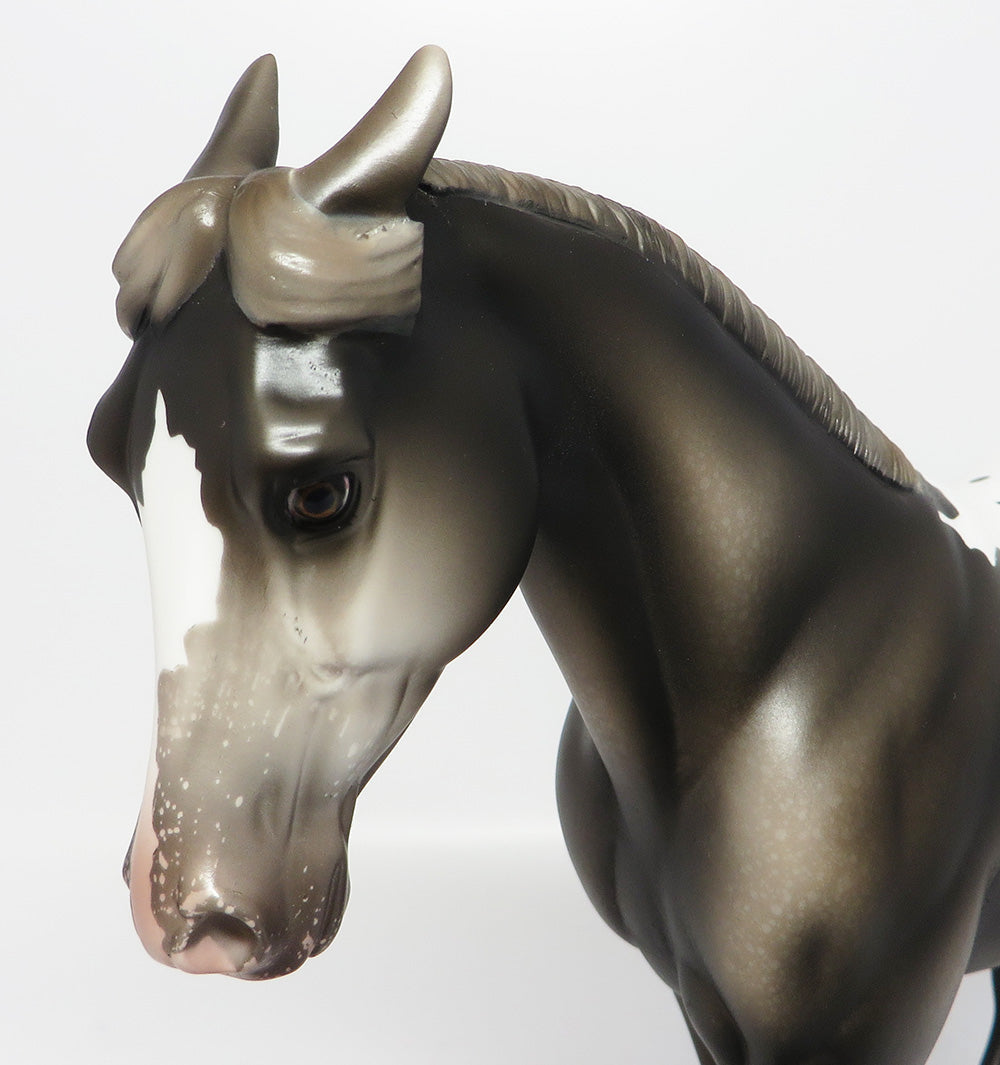 KING PIN~LE-3 BLACK GOING GREY APPALOOSA PALOUSE WITH PINNED EAR AND CUSTOM TAIL EQ 2017