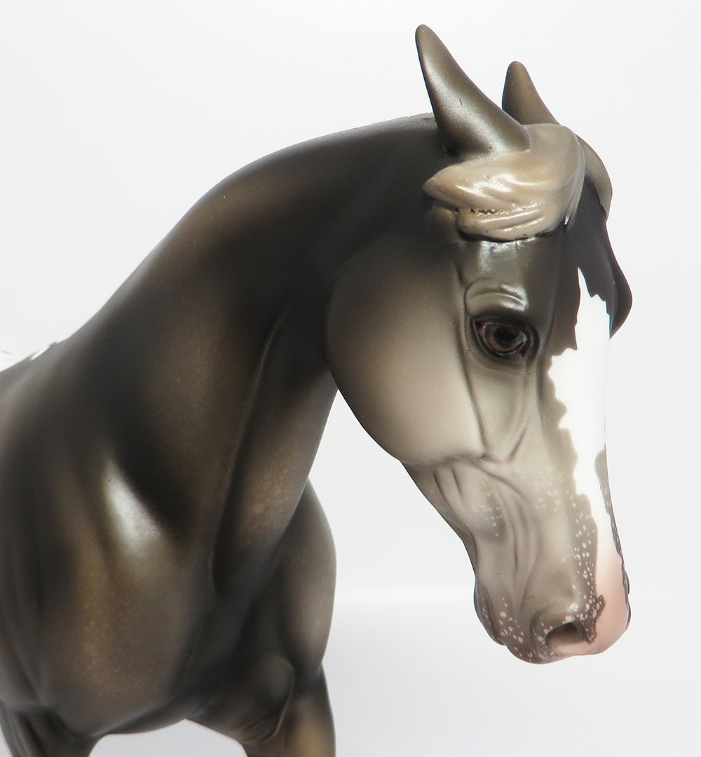 KING PIN~LE-3 BLACK GOING GREY APPALOOSA PALOUSE WITH PINNED EAR AND CUSTOM TAIL EQ 2017