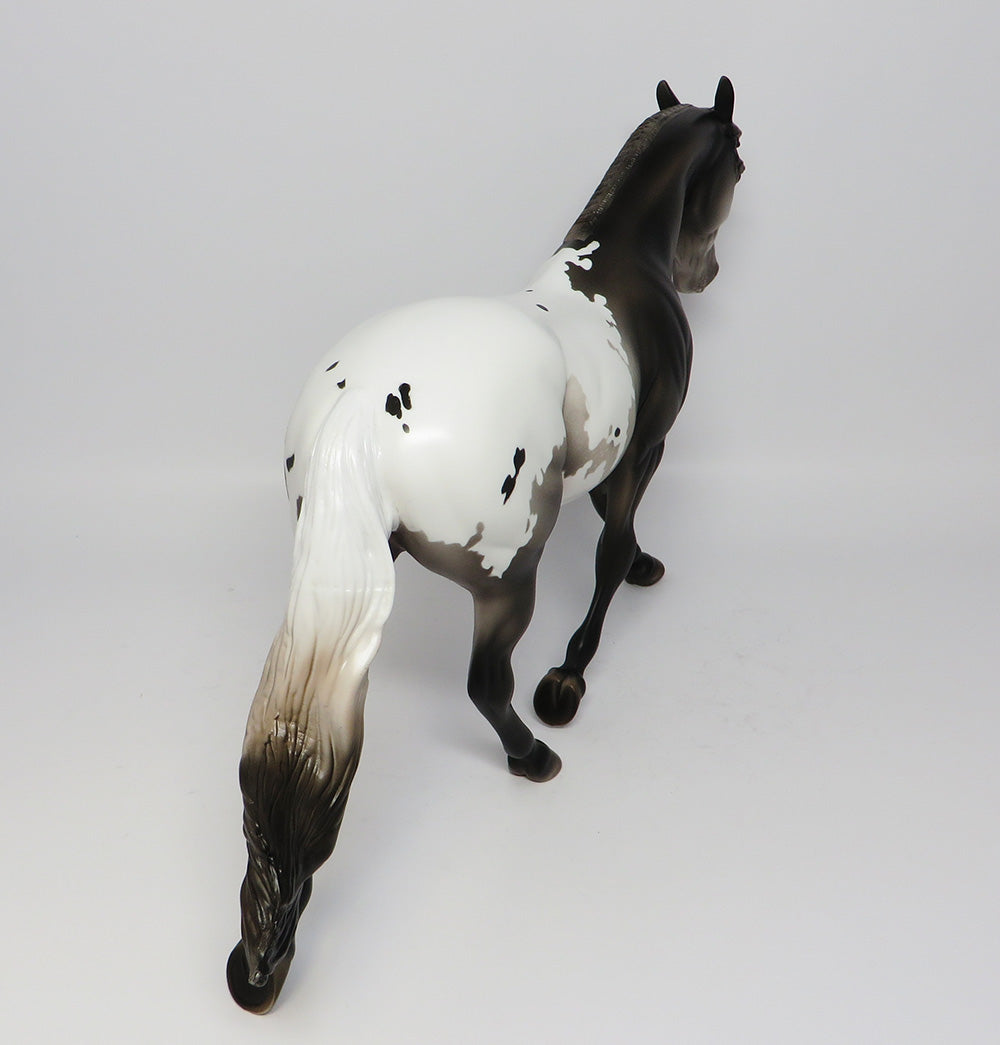 KING PIN~LE-3 BLACK GOING GREY APPALOOSA PALOUSE WITH PINNED EAR AND CUSTOM TAIL EQ 2017