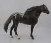 Kiss-OOAK Appaloosa Mustang Model Horse  8/26/20