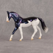 Kochab OOAK Chip Warmblood by Jess Hamill SCD26