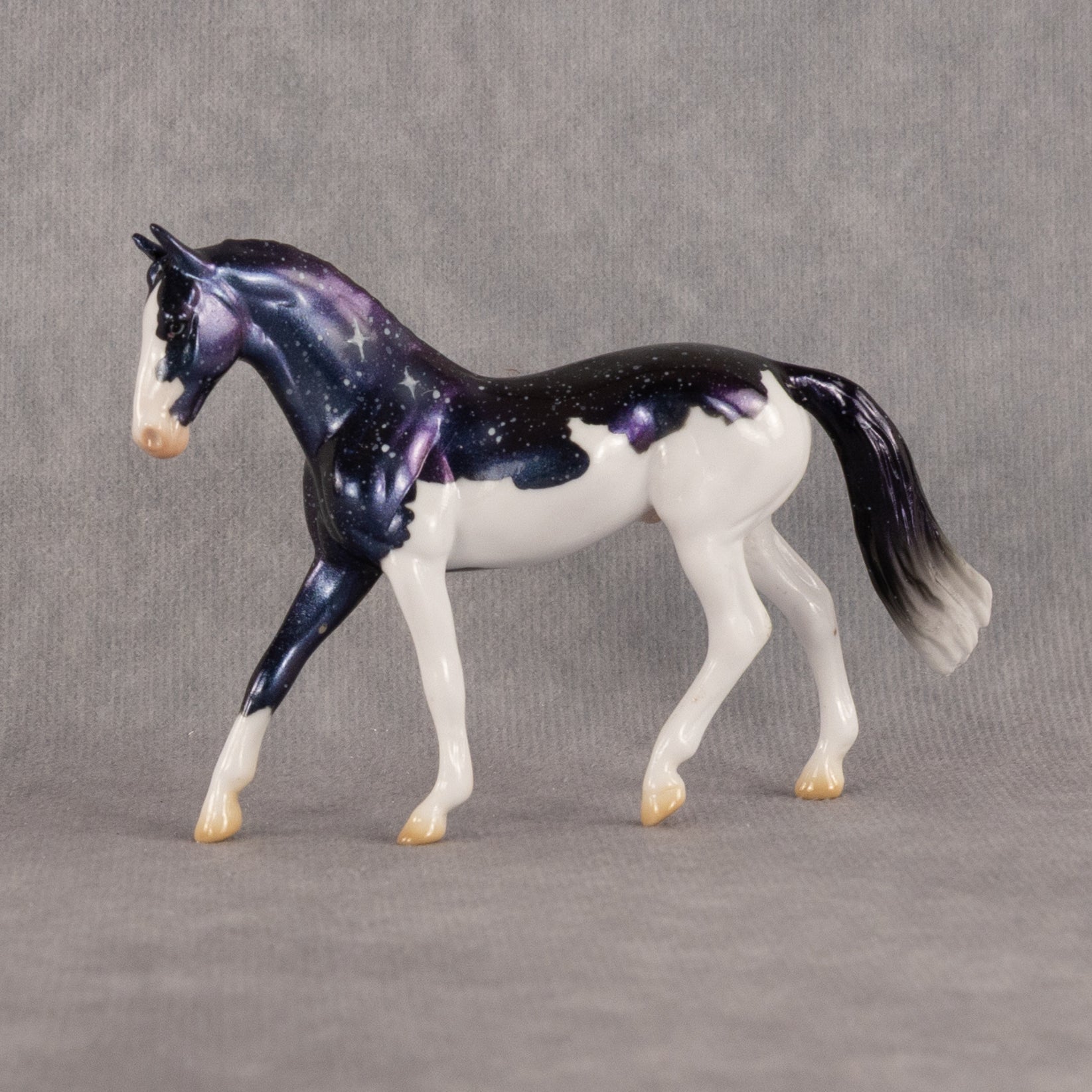 Kochab OOAK Chip Warmblood by Jess Hamill SCD26