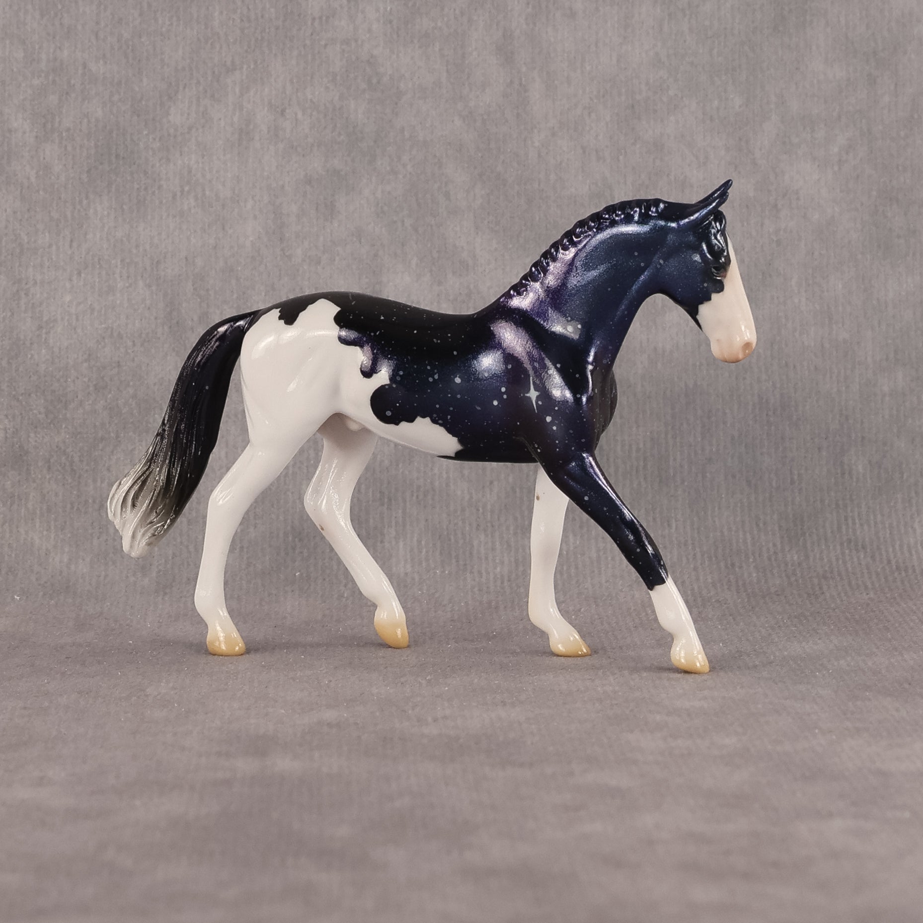 Kochab OOAK Chip Warmblood by Jess Hamill SCD26
