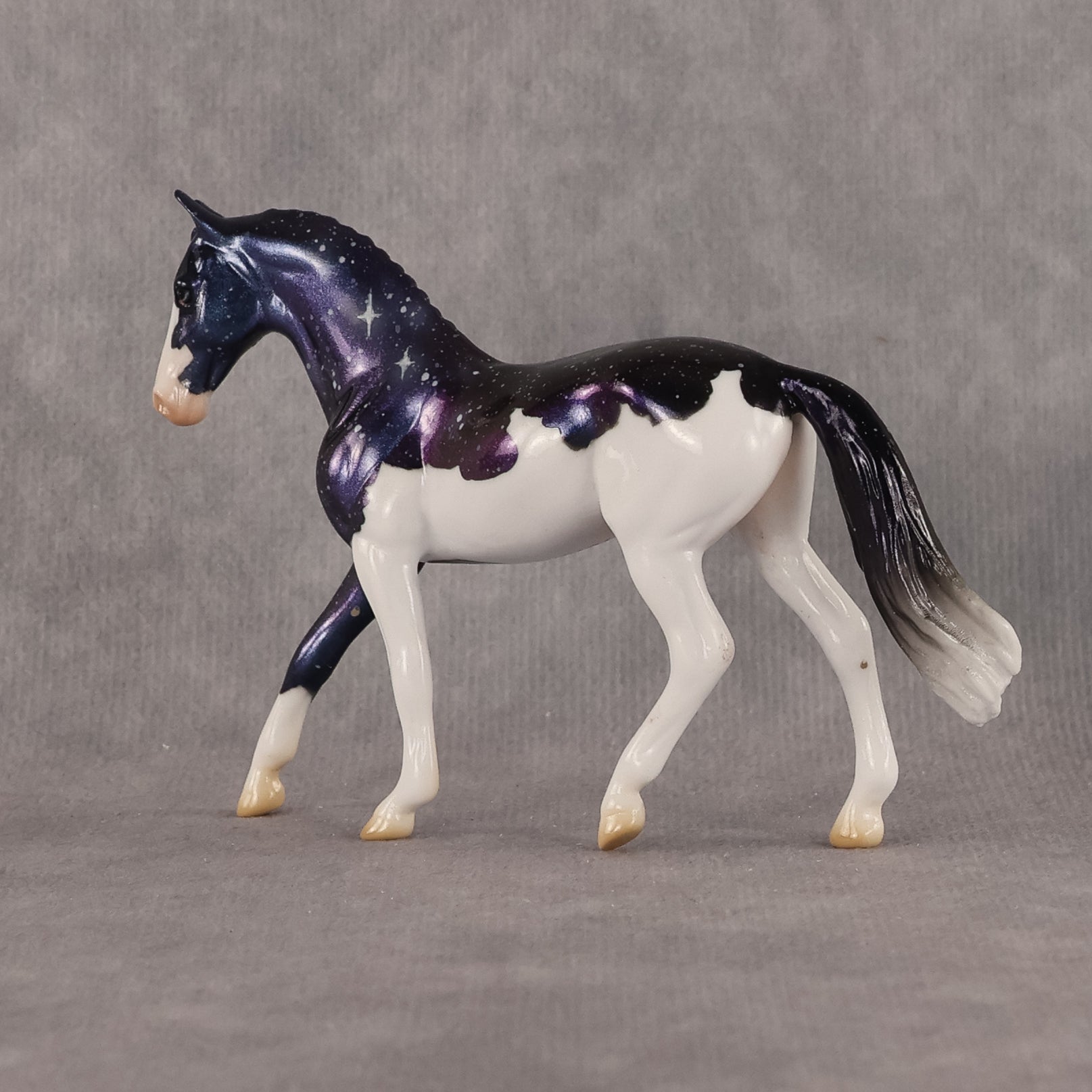 Kochab OOAK Chip Warmblood by Jess Hamill SCD26