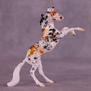Koi Boi OOAK Chip Mustang by Jess Hamill MS25