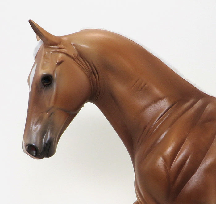 Boydston Tennessee Walking Horse