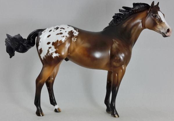 LABOR DAY - Custom Stock Horse Appaloosa