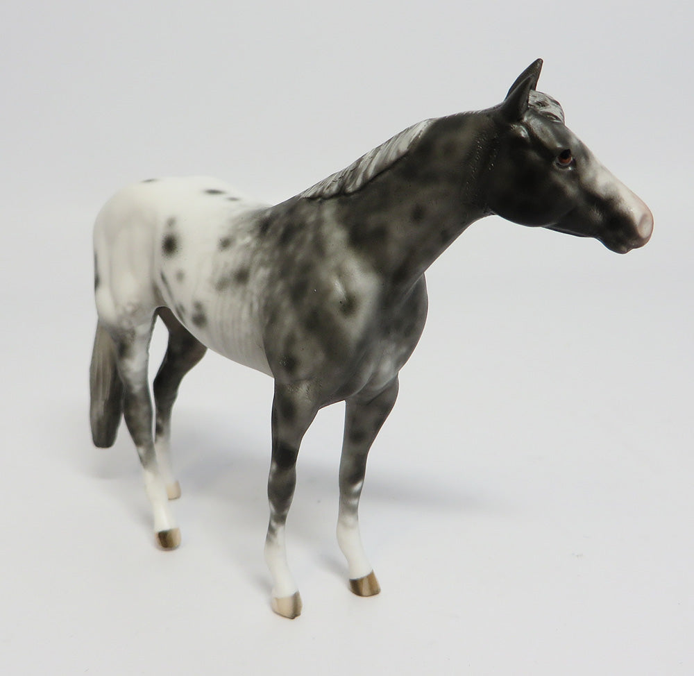 LAST CALL~OOAK BLACK APPALOOSA CHIP MODEL HORSE 5/26