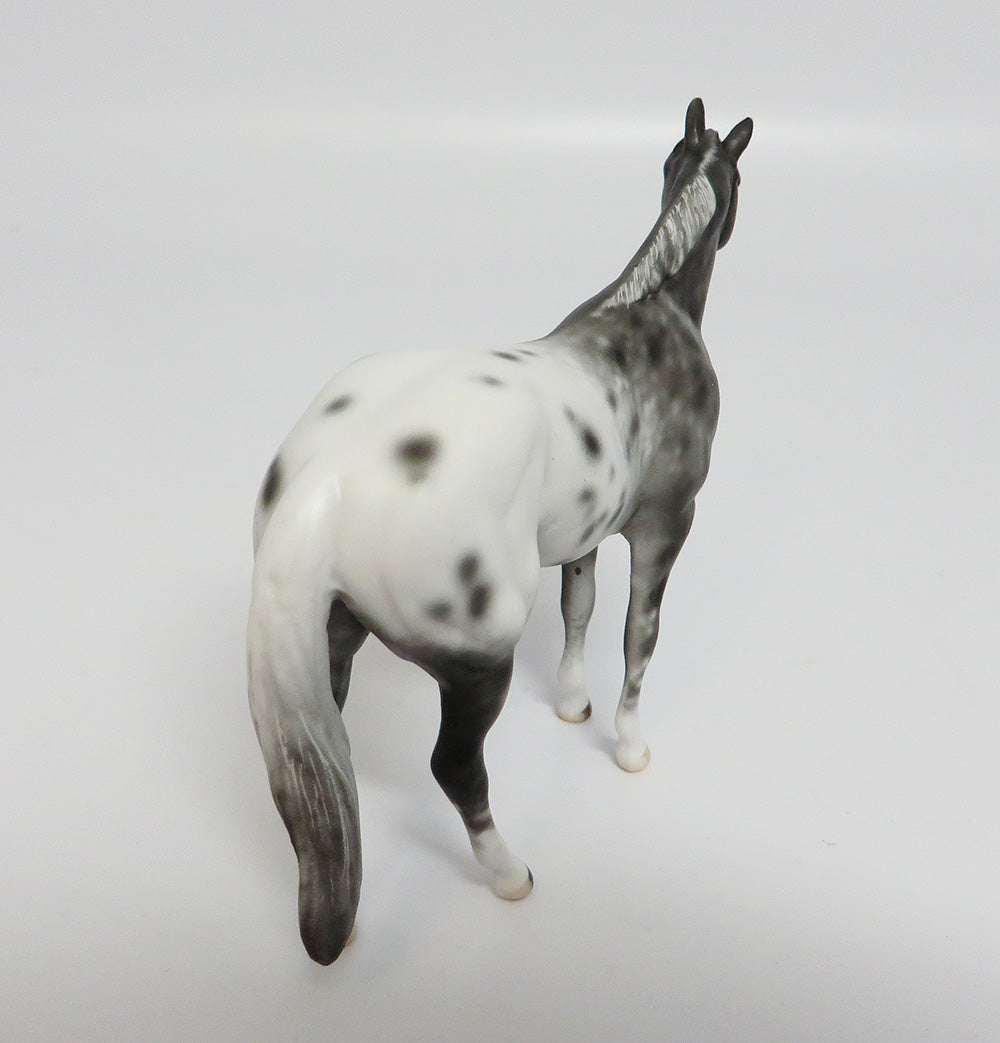 LAST CALL~OOAK BLACK APPALOOSA CHIP MODEL HORSE 5/26