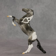 Lauren OOAK FCM Pebble Mustang by Dawn Quick VV26