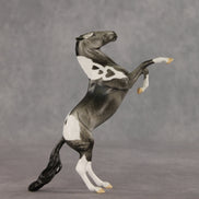 Lauren OOAK FCM Pebble Mustang by Dawn Quick VV26
