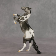 Lauren OOAK FCM Pebble Mustang by Dawn Quick VV26