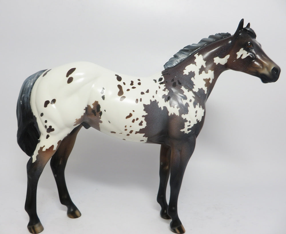 LAVENDER SNOW-OOAK CUSTOM APPALOOSA ISH WHS 2017