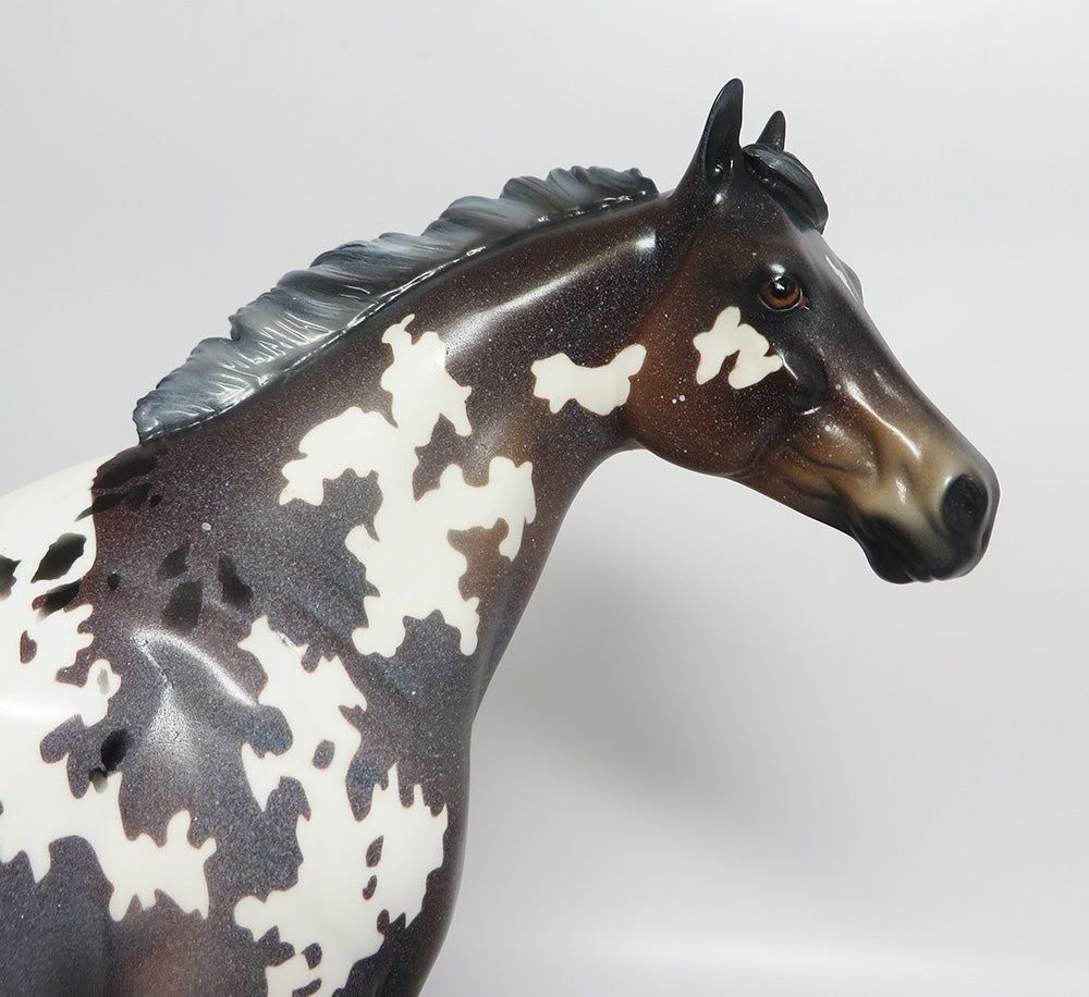 LAVENDER SNOW-OOAK CUSTOM APPALOOSA ISH WHS 2017