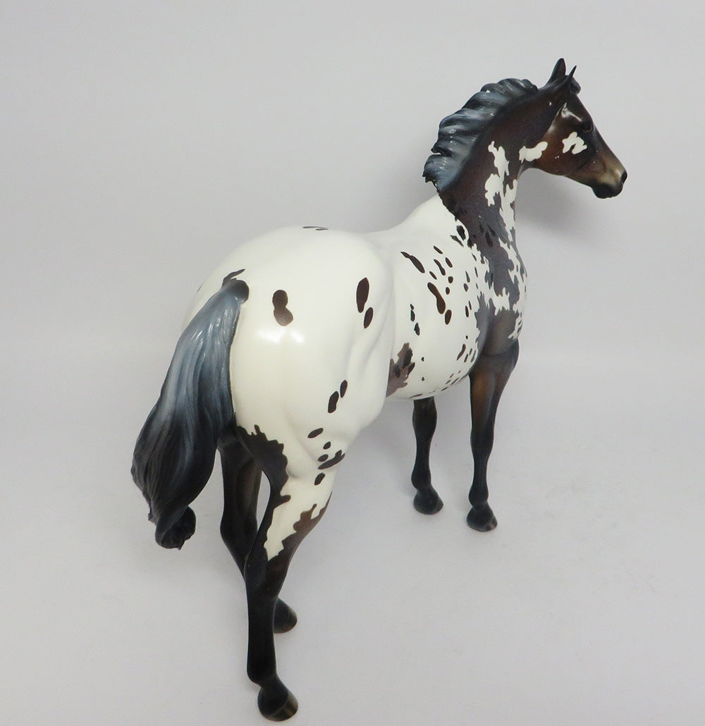 LAVENDER SNOW-OOAK CUSTOM APPALOOSA ISH WHS 2017