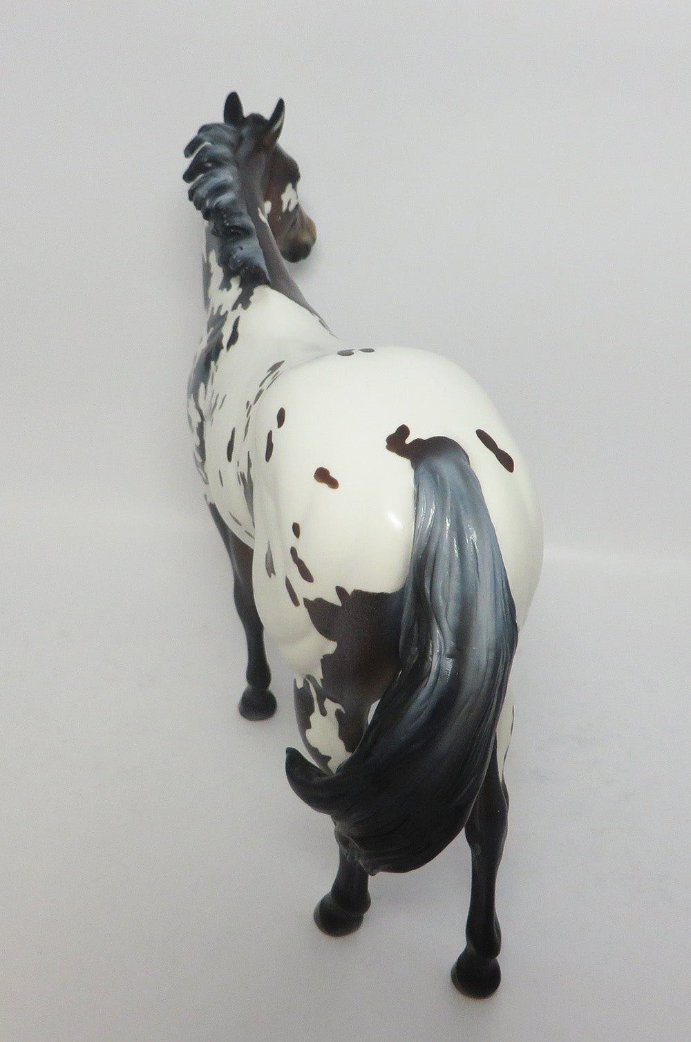 LAVENDER SNOW-OOAK CUSTOM APPALOOSA ISH WHS 2017
