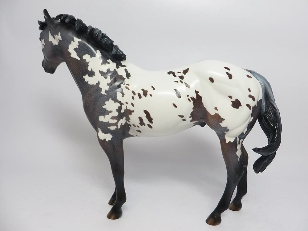LAVENDER SNOW-OOAK CUSTOM APPALOOSA ISH WHS 2017