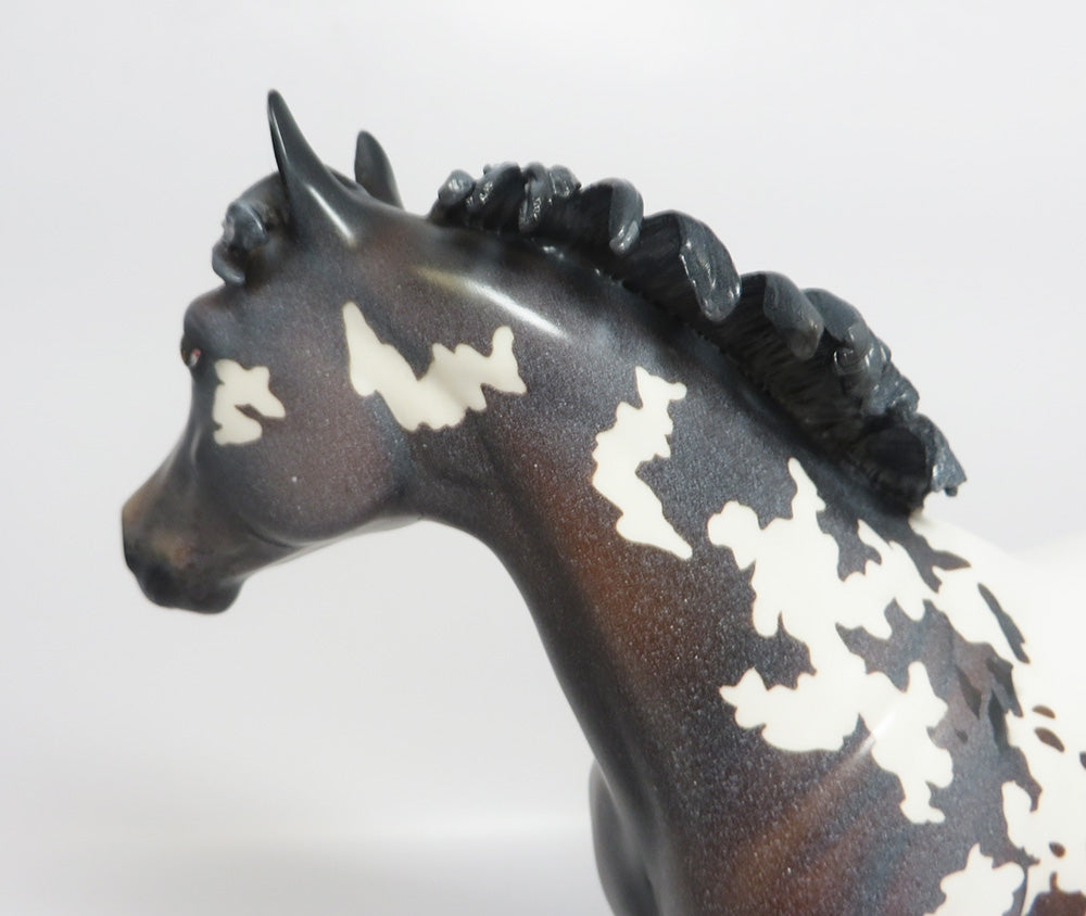LAVENDER SNOW-OOAK CUSTOM APPALOOSA ISH WHS 2017