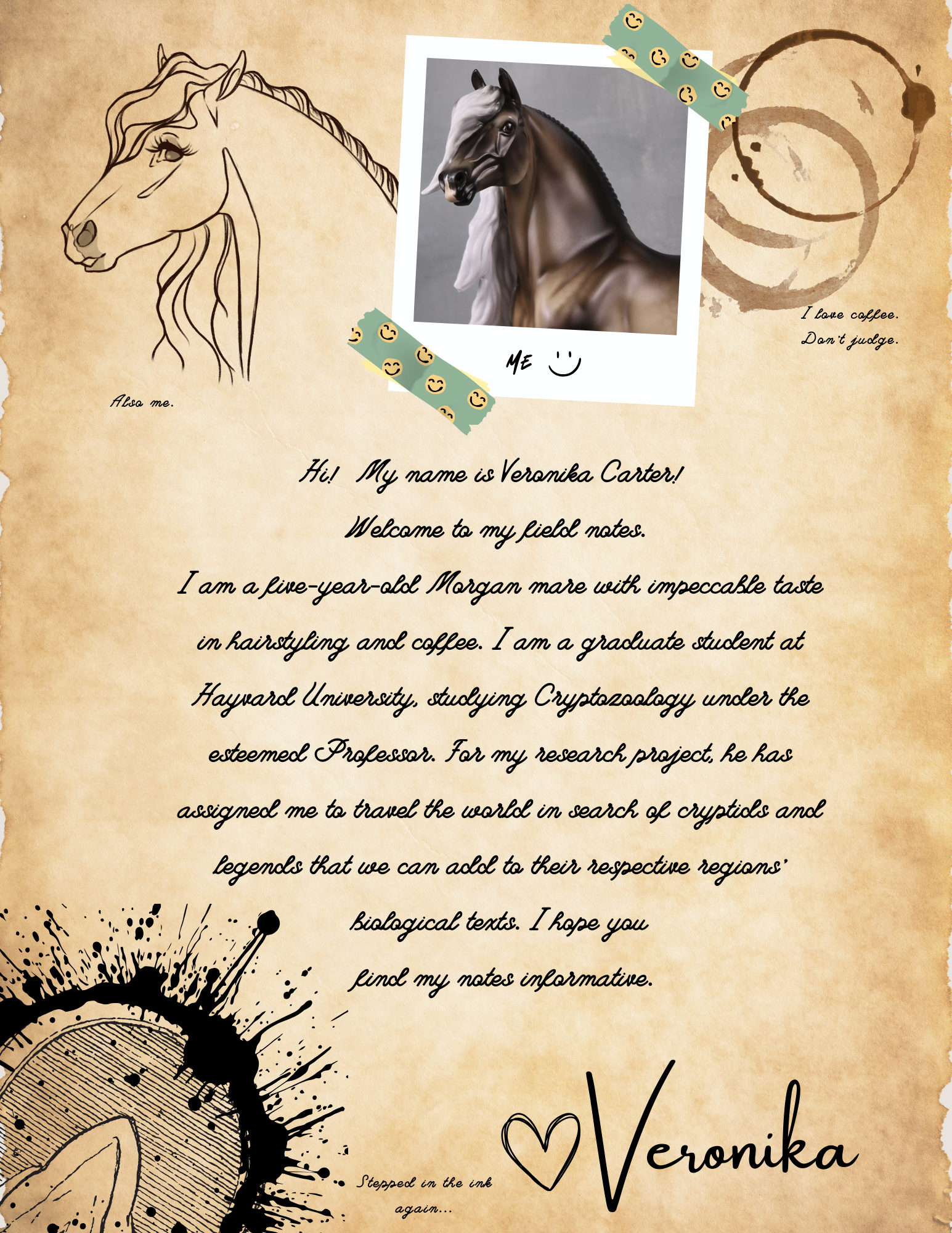 Moonlight Madness 2024 Field Guide Hardcover Book MM24