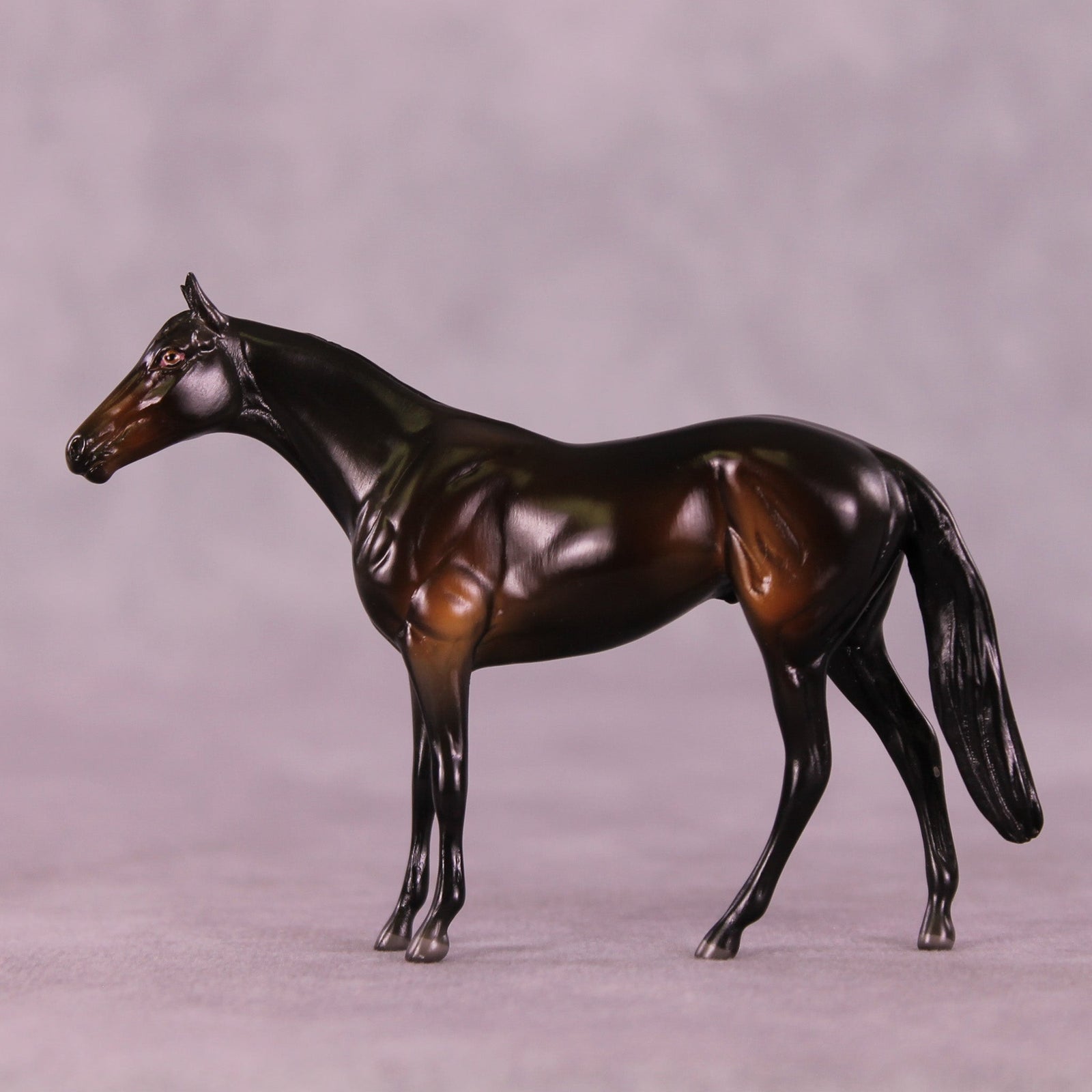 Lemmy B. LE-2 Chip Thoroughbred  by Angela Marleau MM25 Group B