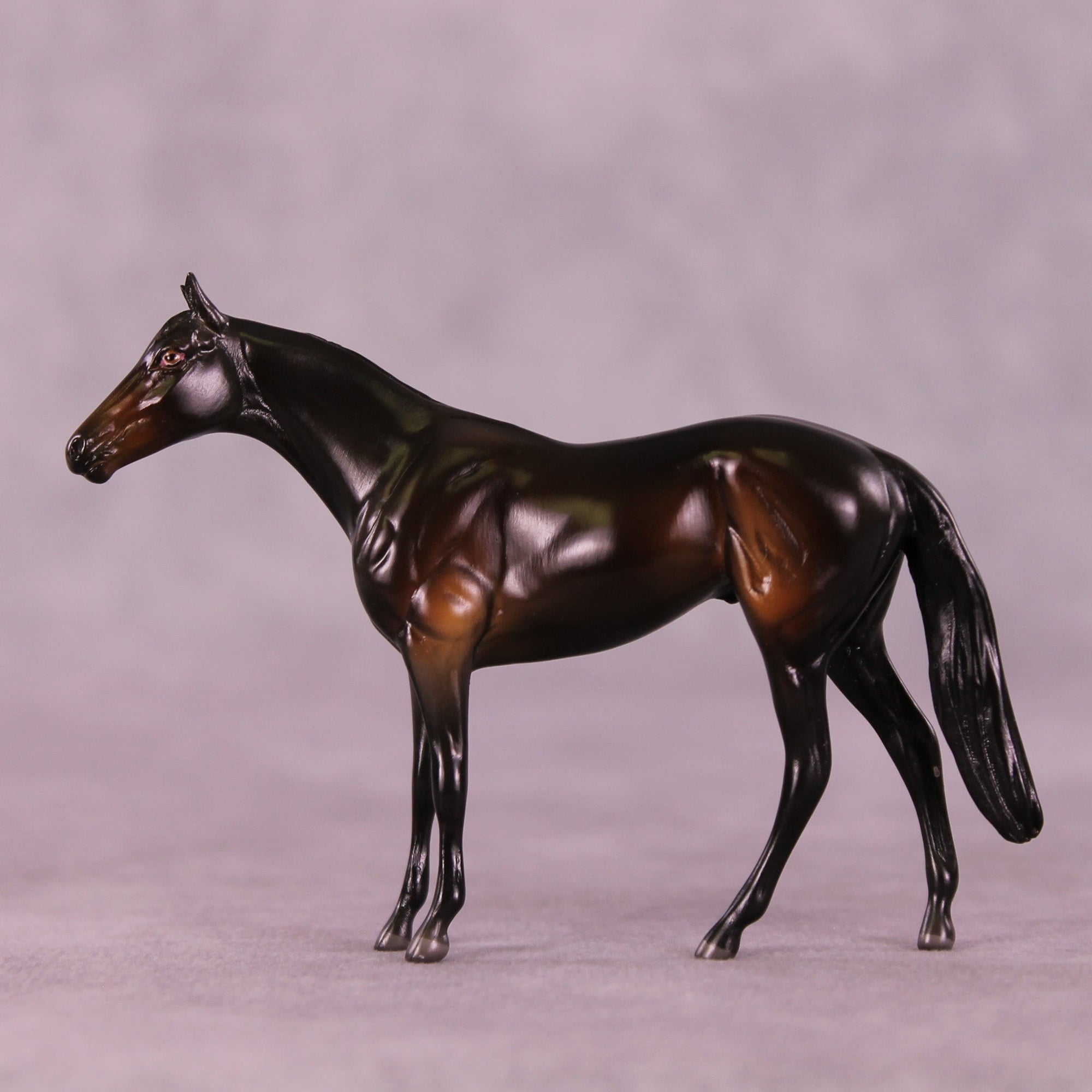 Lemmy B. LE-2 Chip Thoroughbred  by Angela Marleau MM25 Group B