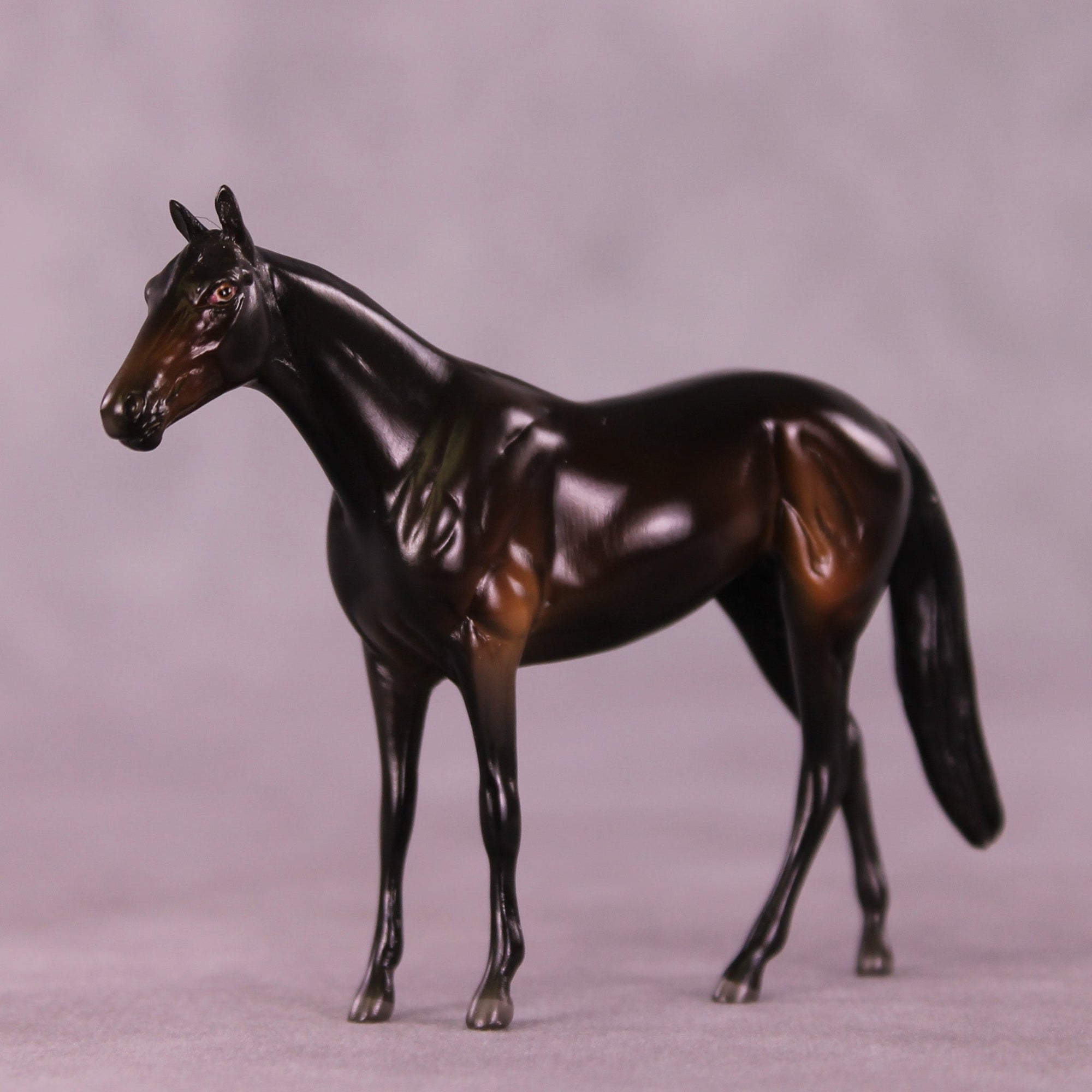 Lemmy B. LE-2 Chip Thoroughbred  by Angela Marleau MM25 Group B