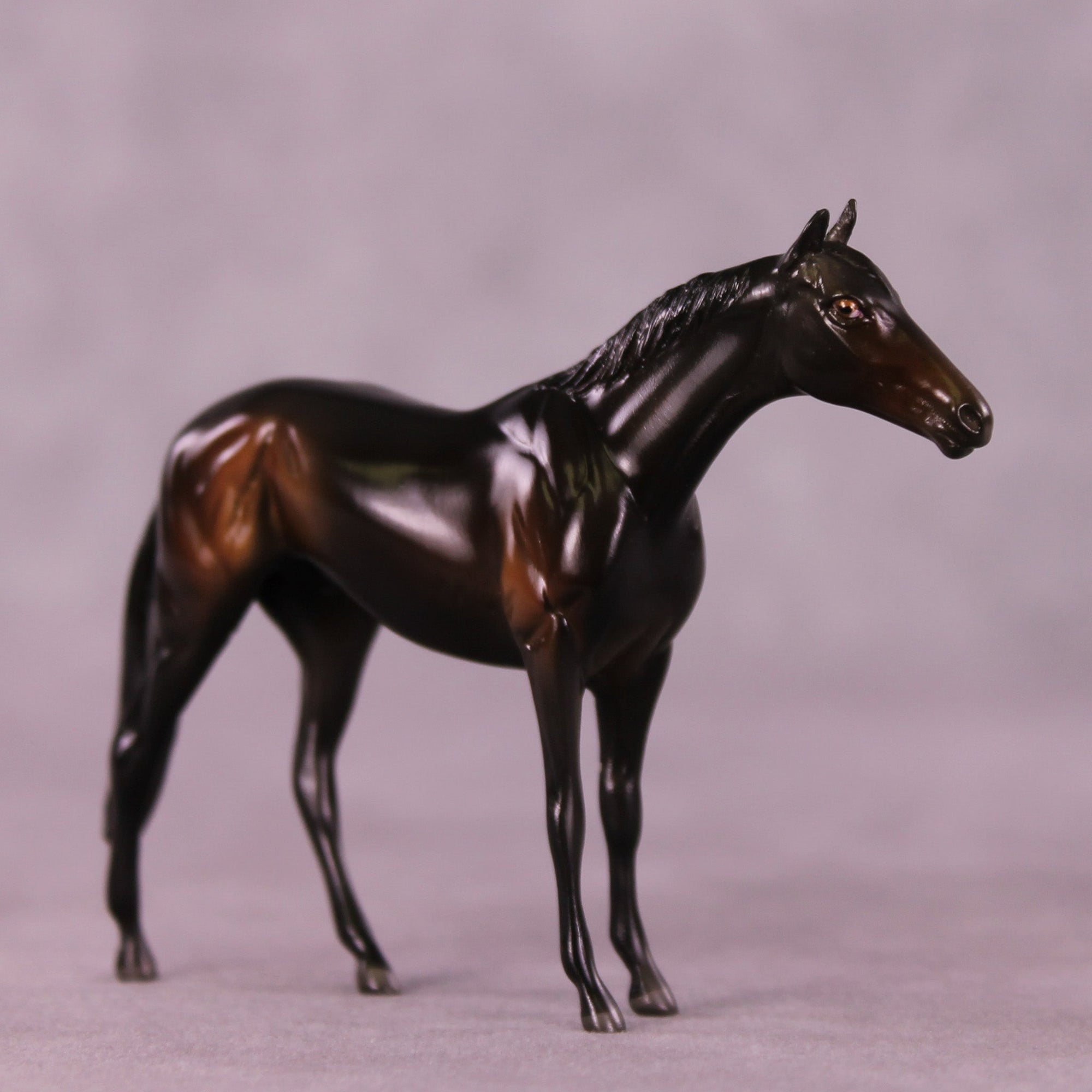 Lemmy B. LE-2 Chip Thoroughbred  by Angela Marleau MM25 Group B