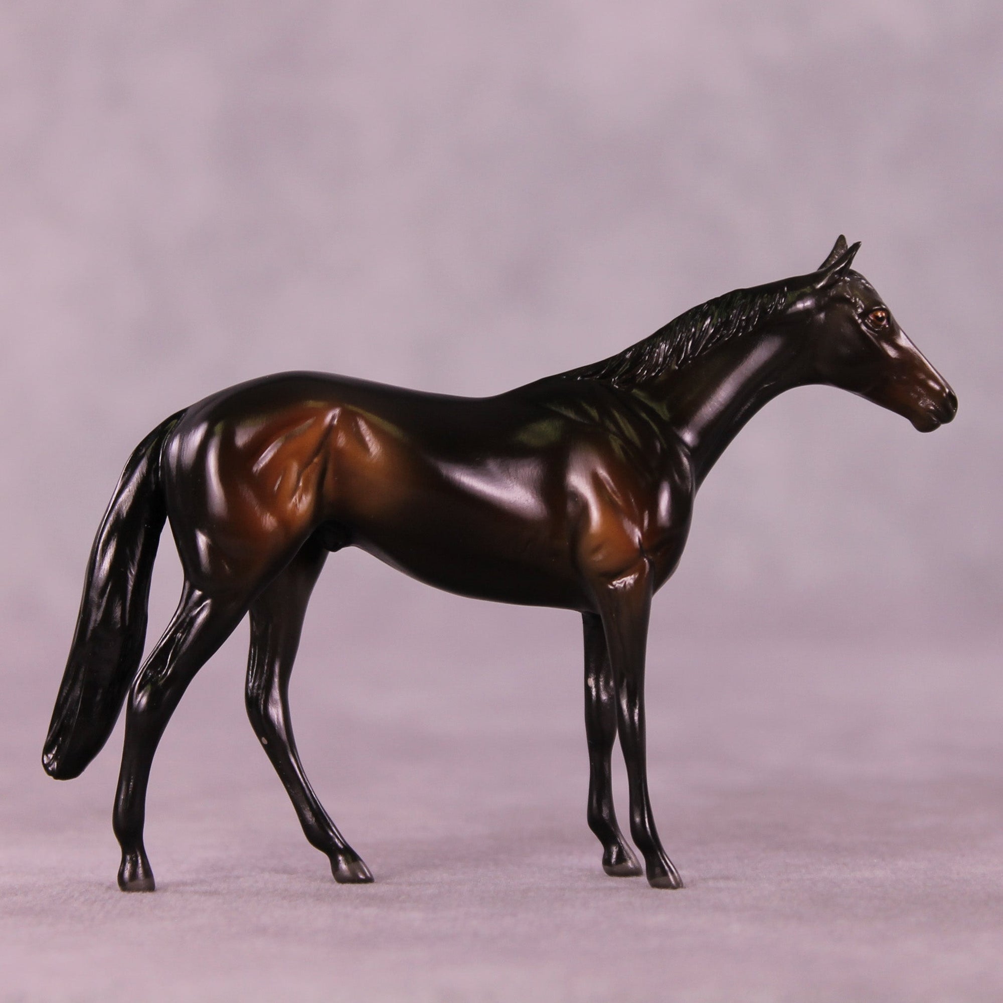 Lemmy B. LE-2 Chip Thoroughbred  by Angela Marleau MM25 Group B