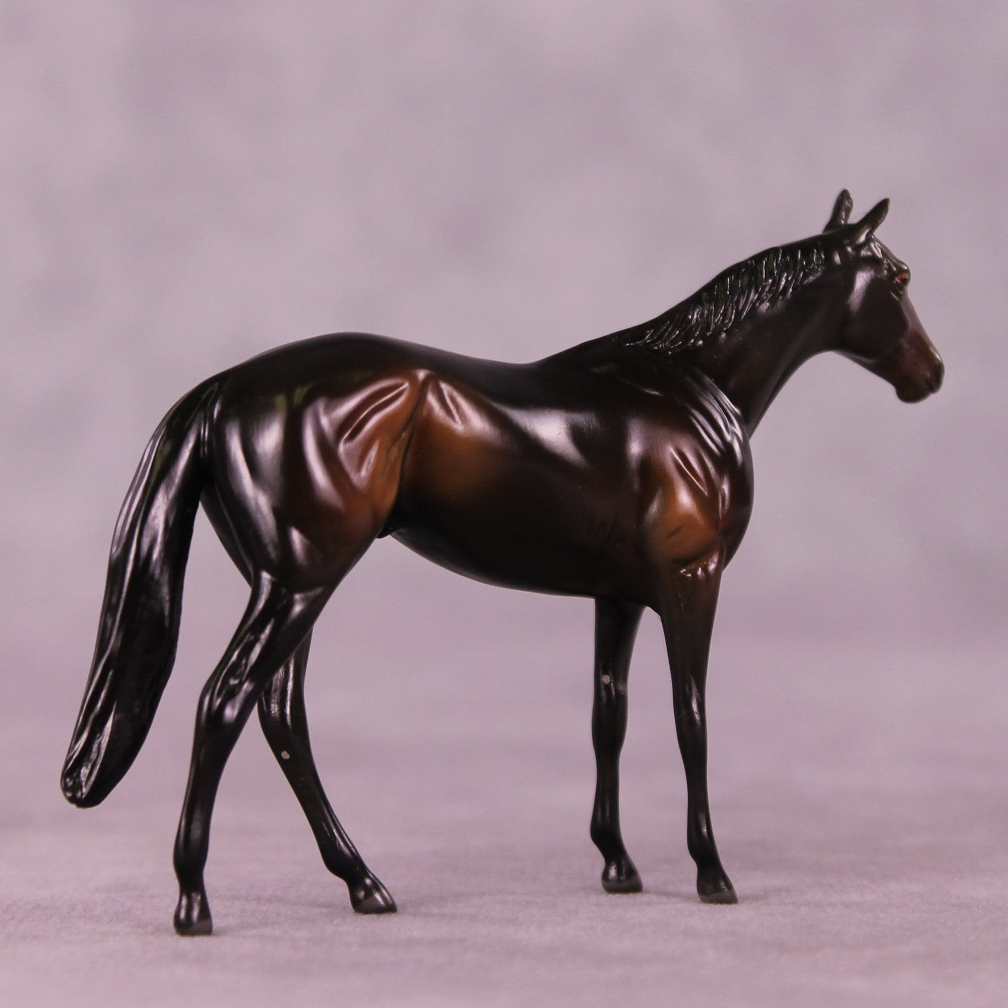 Lemmy B. LE-2 Chip Thoroughbred  by Angela Marleau MM25 Group B