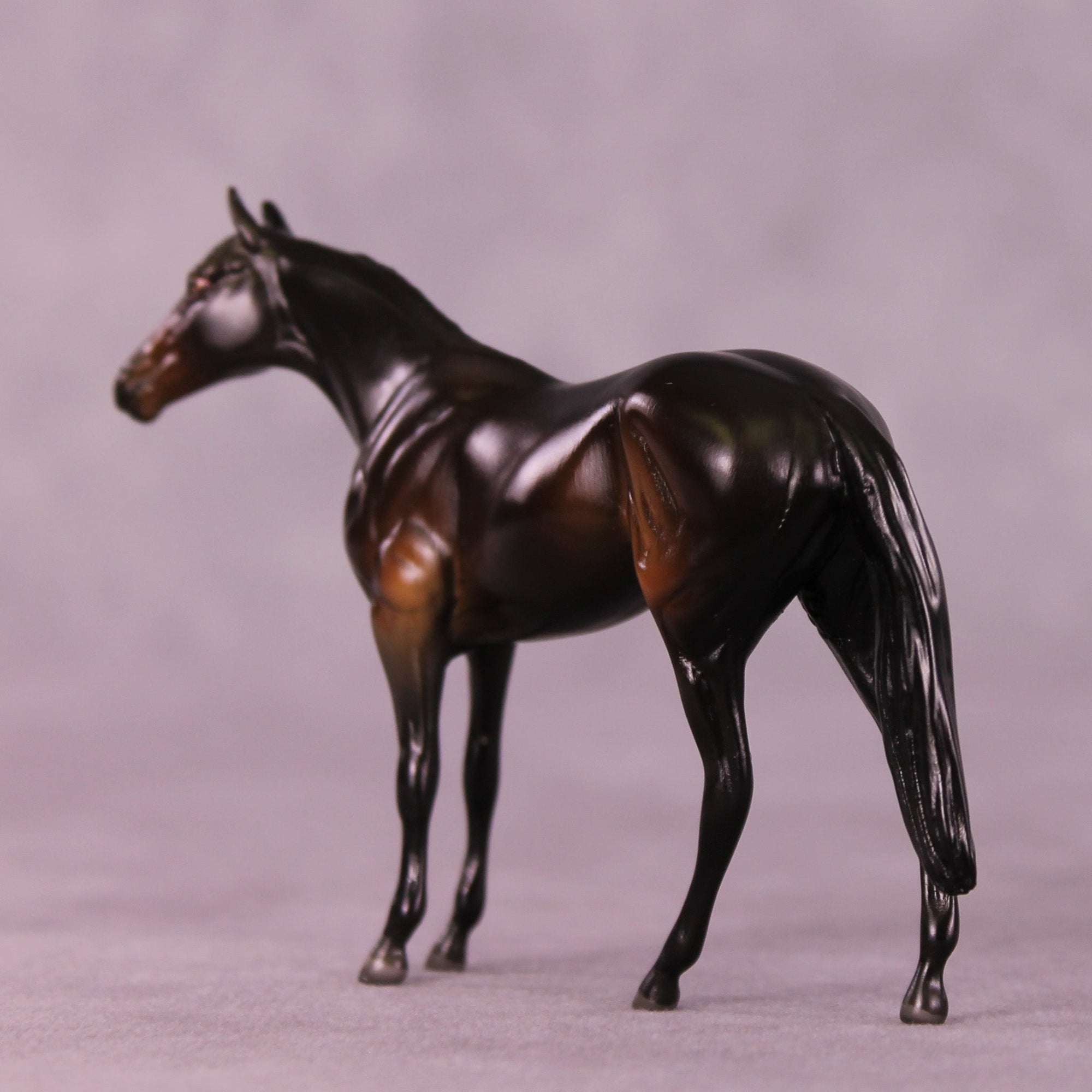 Lemmy B. LE-2 Chip Thoroughbred  by Angela Marleau MM25 Group B