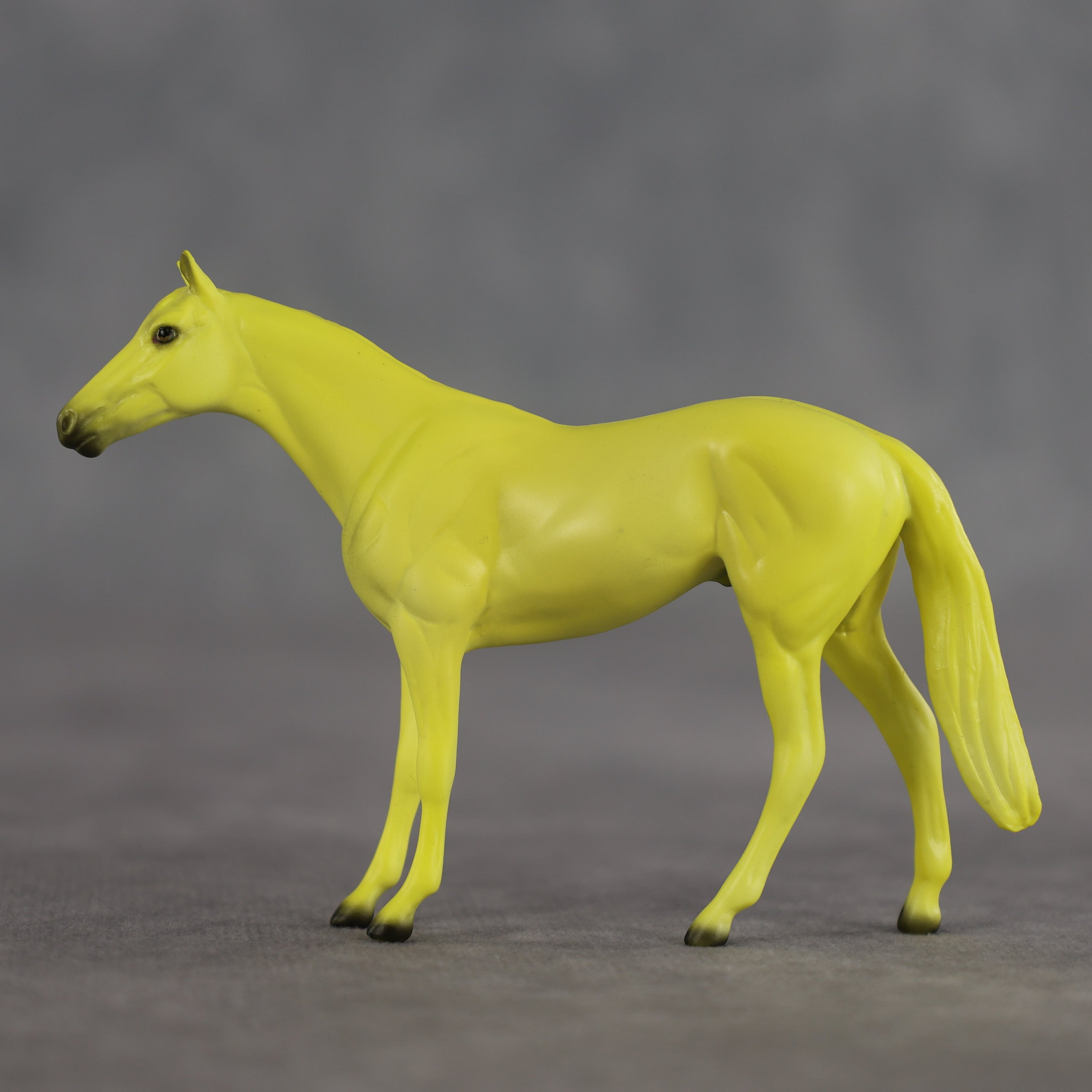 Lemon OOAK Chip Thoroughbred by Dawn Quick SCD26