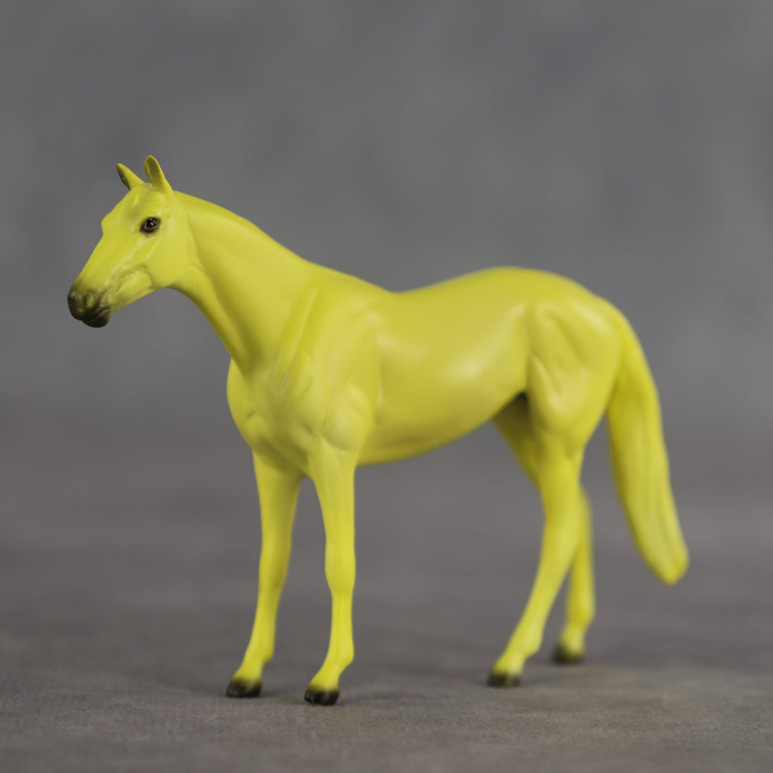Lemon OOAK Chip Thoroughbred by Dawn Quick SCD26