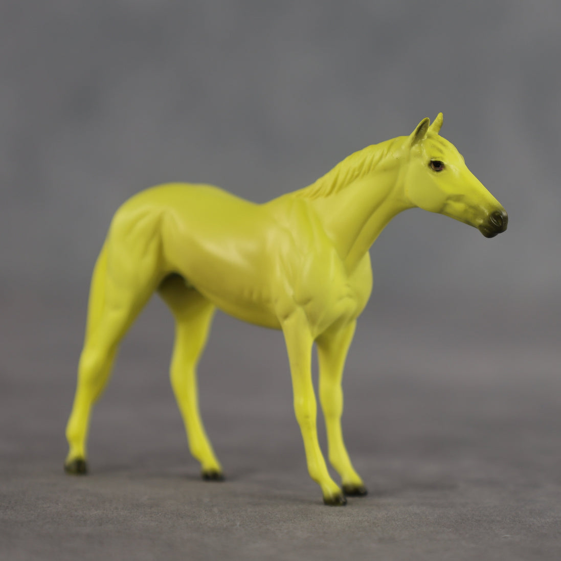 Lemon OOAK Chip Thoroughbred by Dawn Quick SCD26