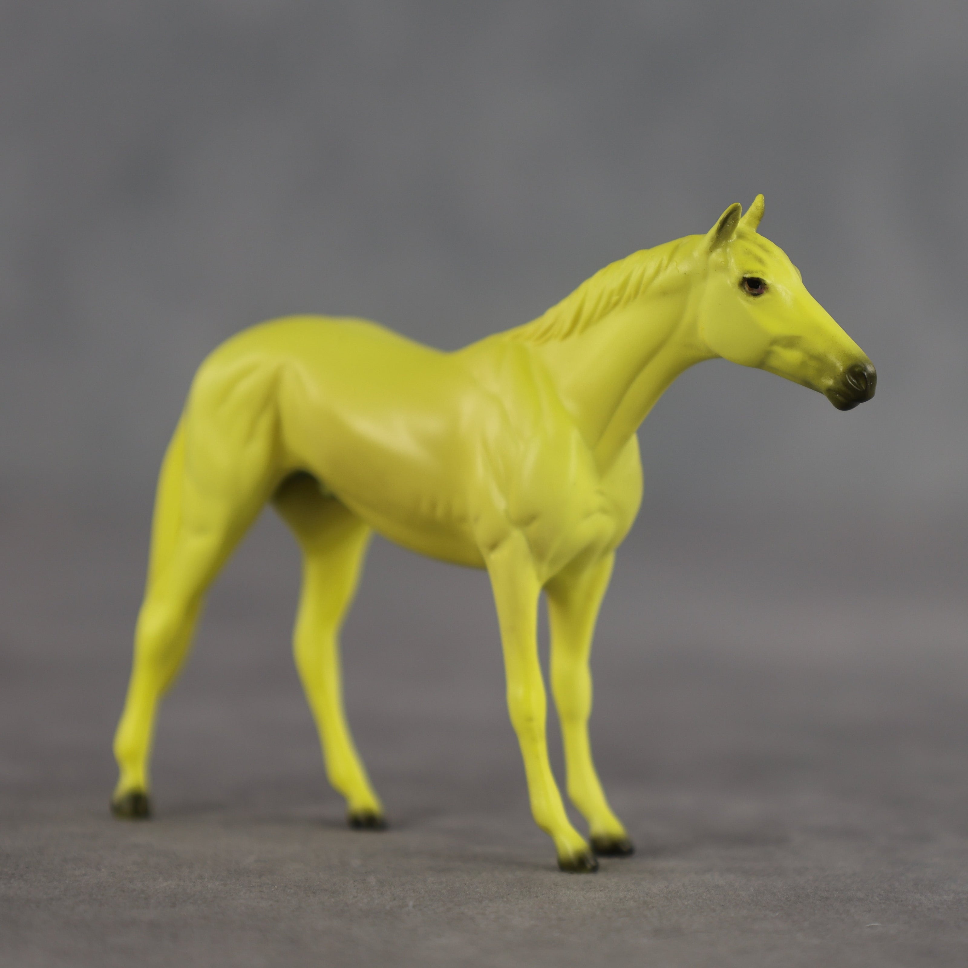Lemon OOAK Chip Thoroughbred by Dawn Quick SCD26