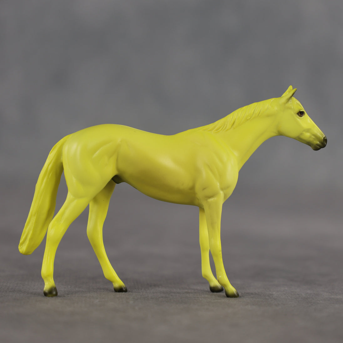 Lemon OOAK Chip Thoroughbred by Dawn Quick SCD26