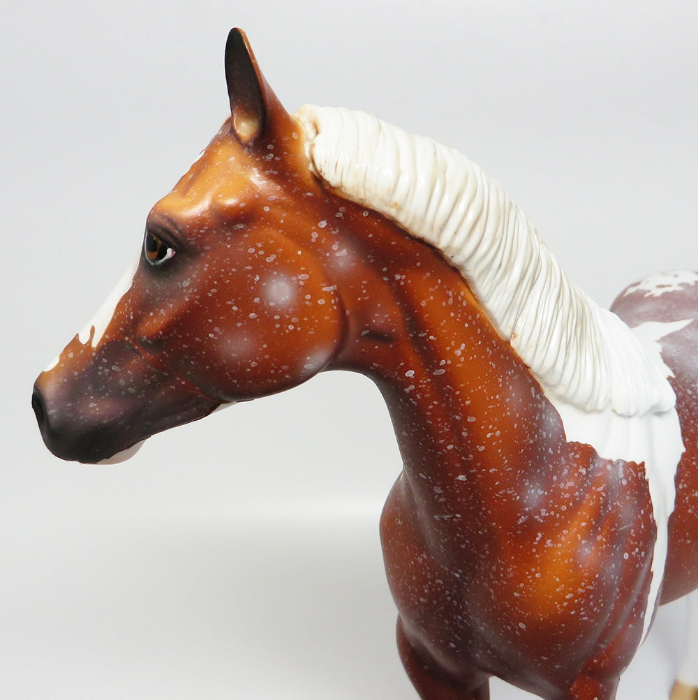 LEOPOLD~LE-2 CHESTNUT PINTALOOSA ISH MODEL HORSE QHC 2017
