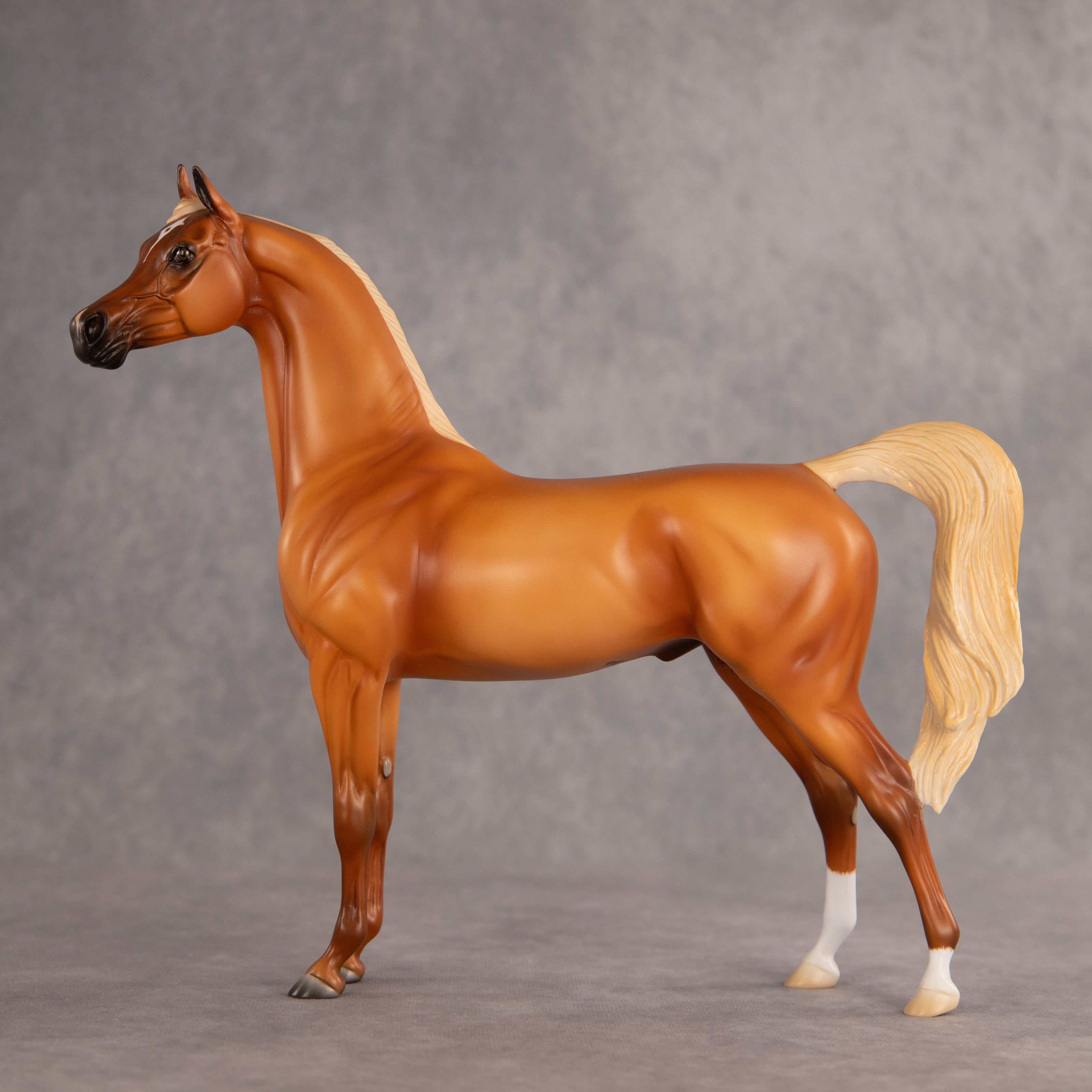 Life Guard OOAK Arabian Stallion by Madi Wiseman EQ26