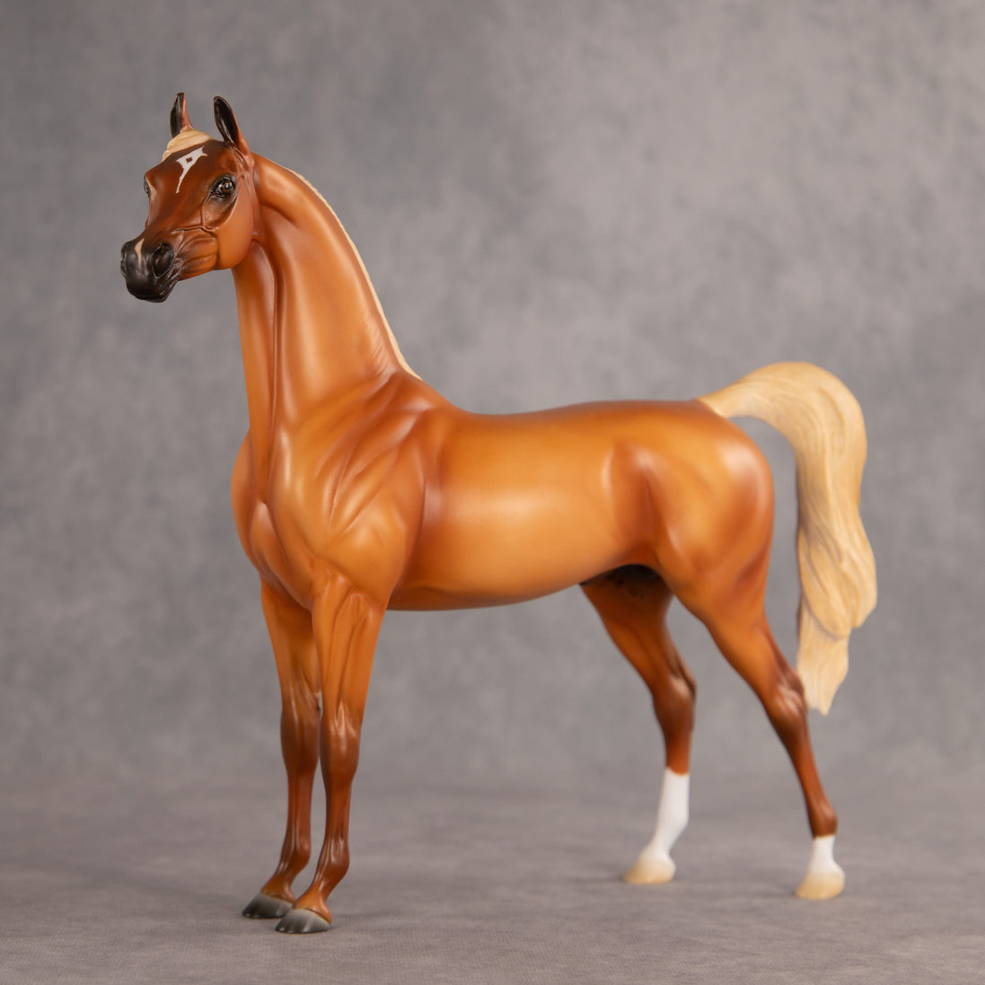 Life Guard OOAK Arabian Stallion by Madi Wiseman EQ26