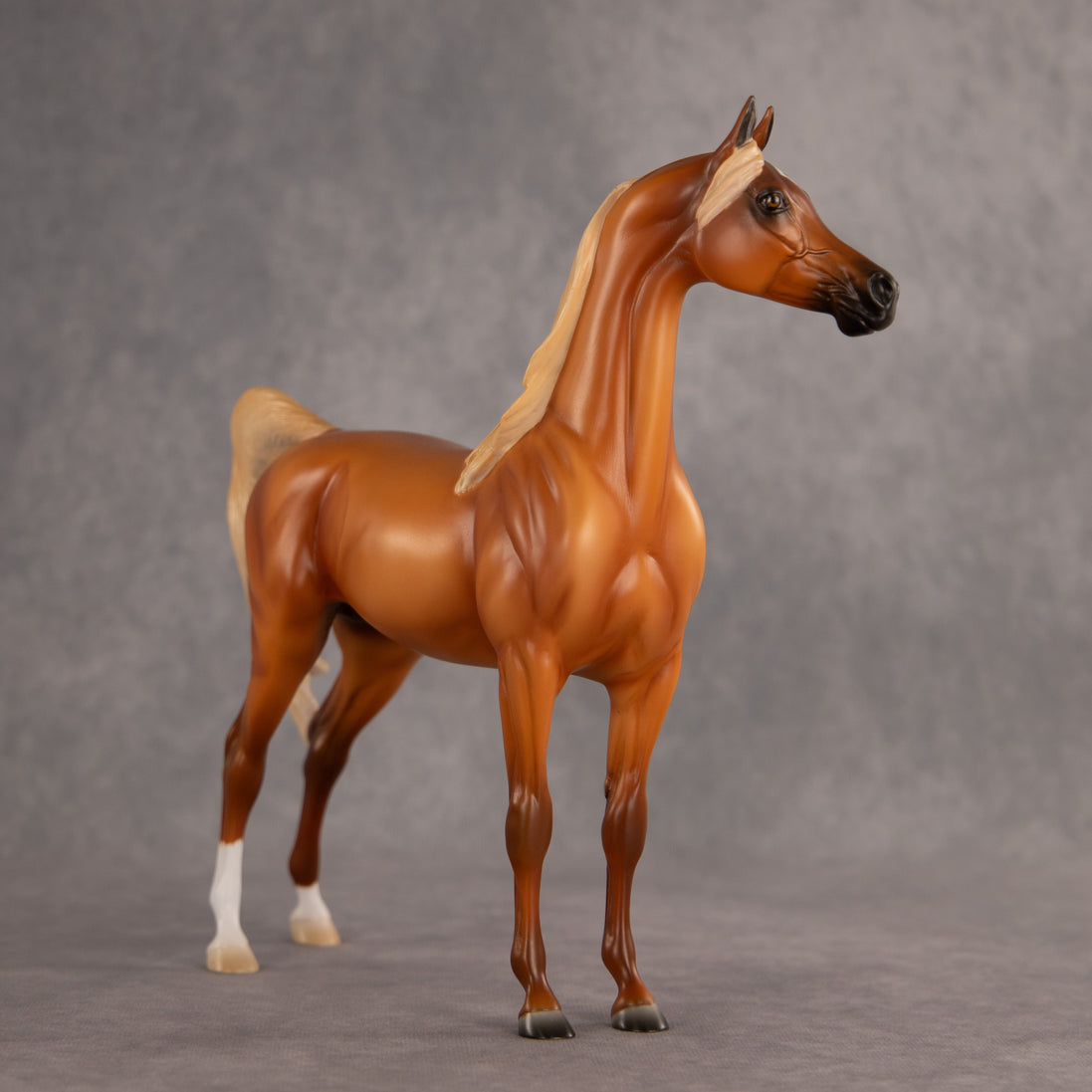 Life Guard OOAK Arabian Stallion by Madi Wiseman EQ26
