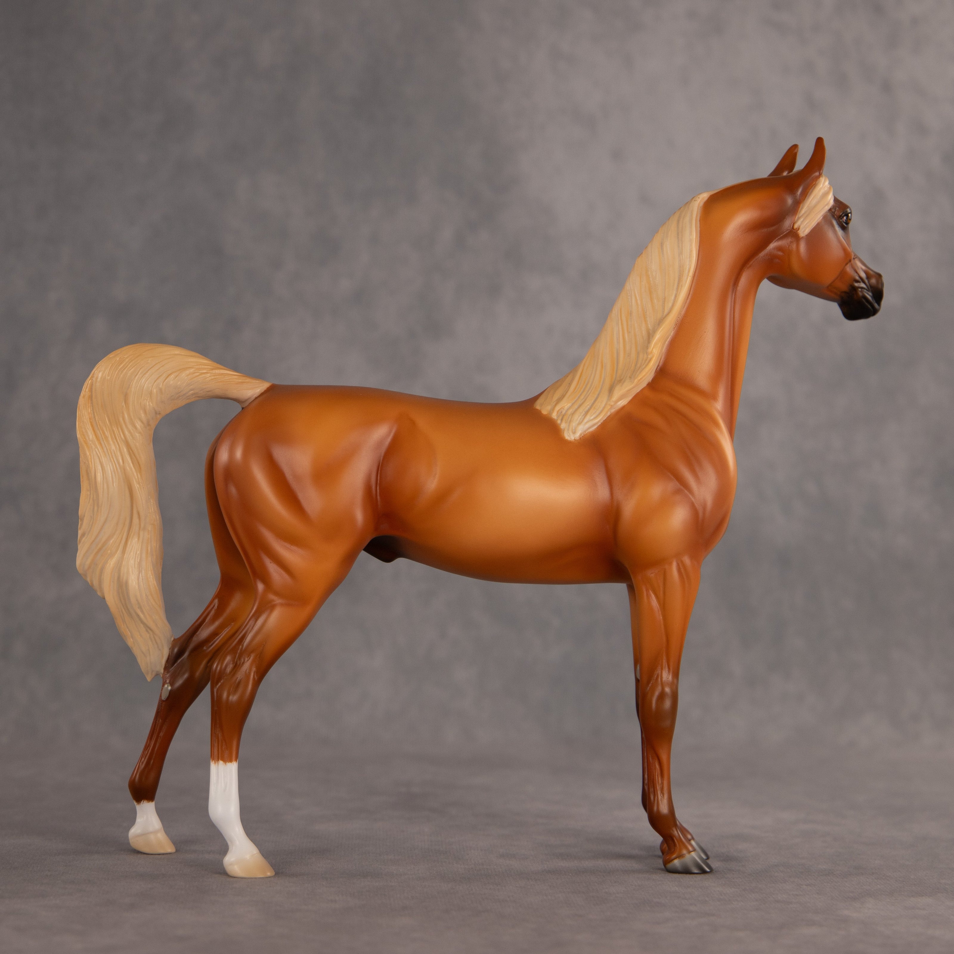Life Guard OOAK Arabian Stallion by Madi Wiseman EQ26