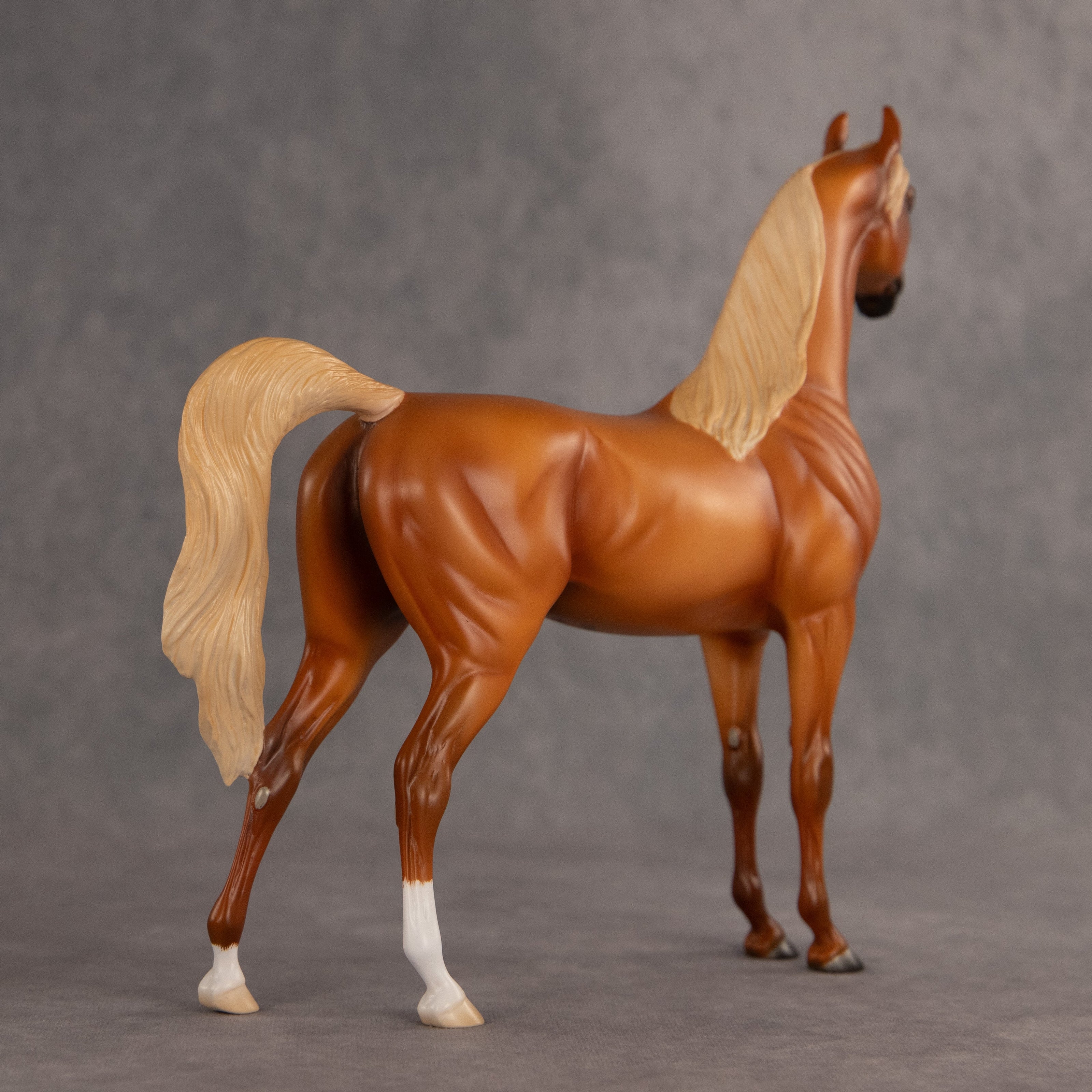 Life Guard OOAK Arabian Stallion by Madi Wiseman EQ26